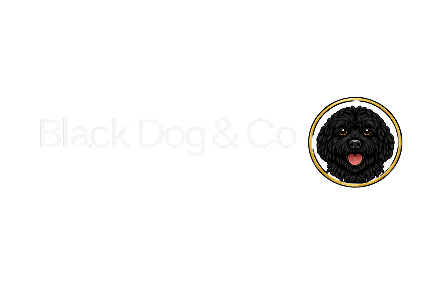Black Dog &amp; Co