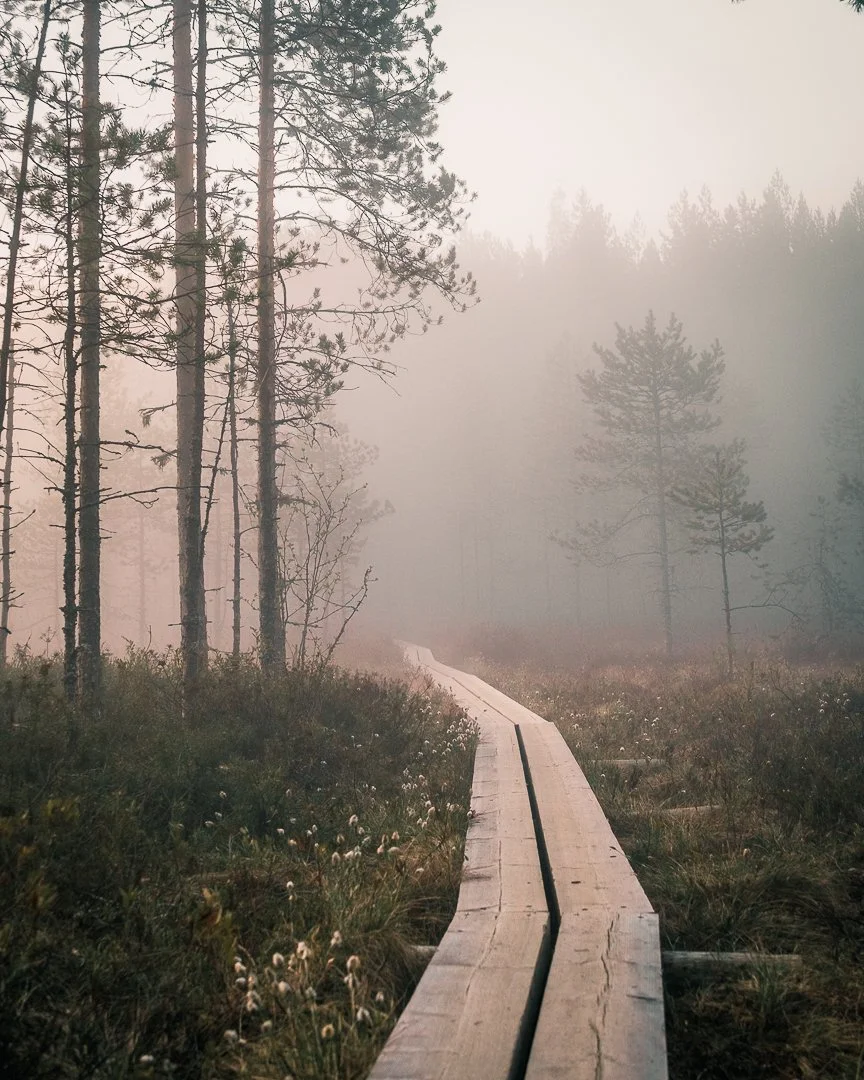 Sumuinen metsä ja kapea puinen polku, joka kiertää metsän keskellä. Keski-Suomi valokuvauskohde.