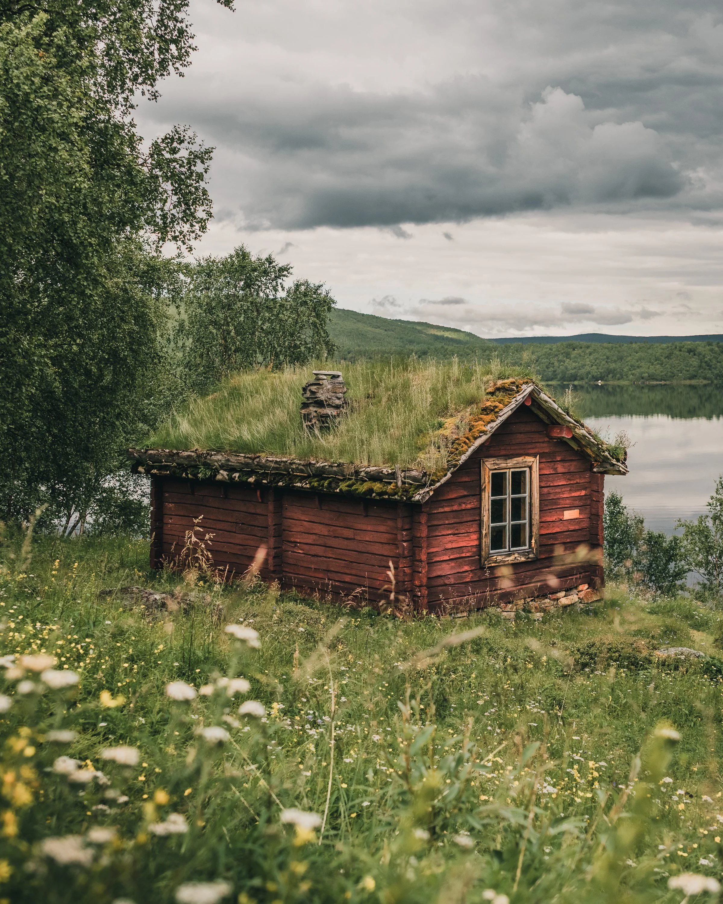 Valkoinen pilvinen taivas meren rannalla, jossa on pieni punainen puutalo ja vihreitä puita sekä kukkia läheisellä niityllä.