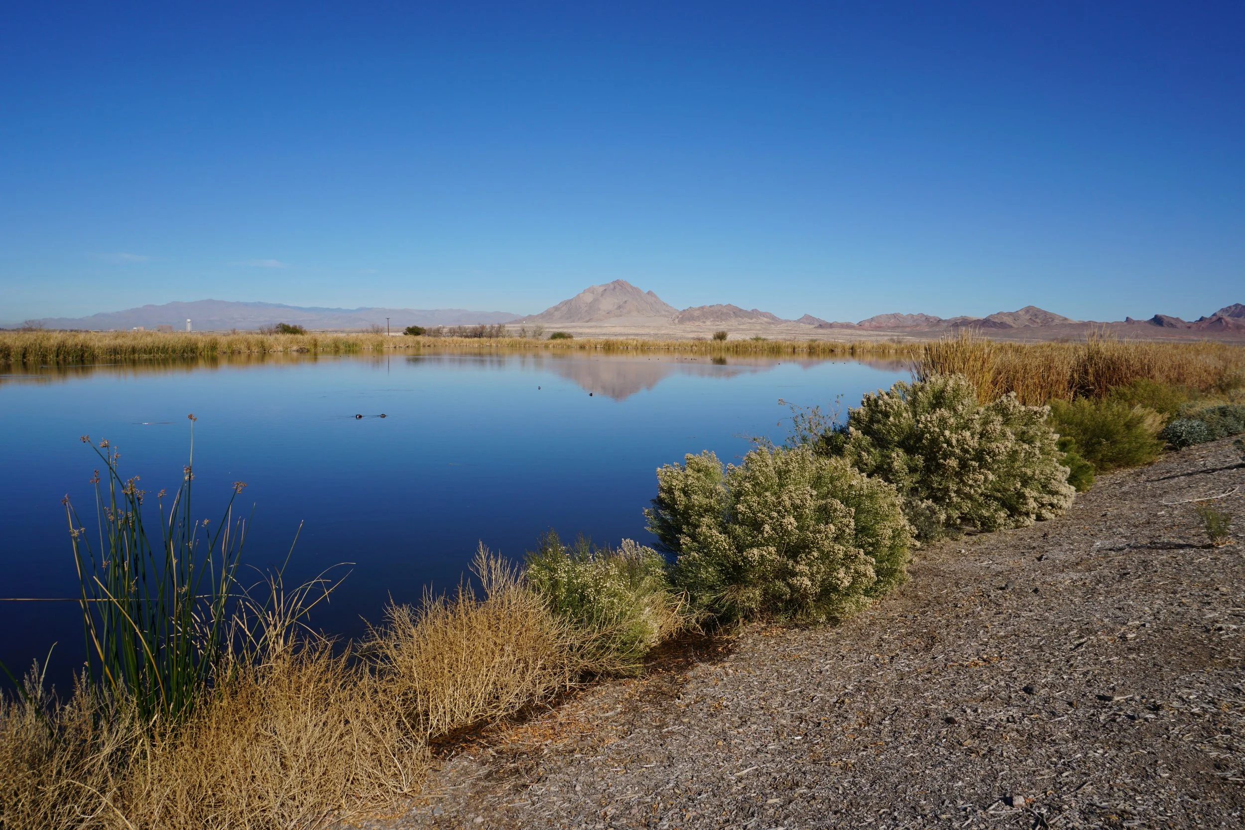 Las Vegas Cornerstone Park, Dec 2021