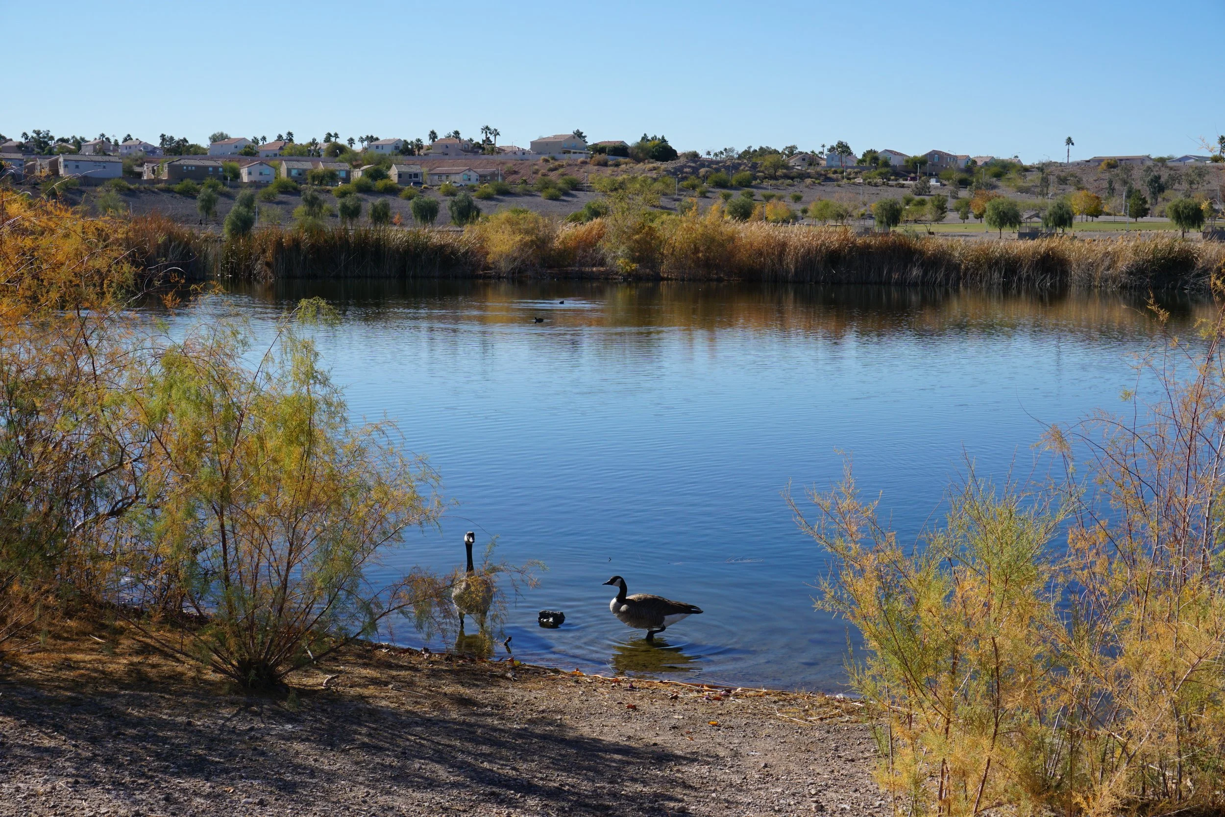 Las Vegas Cornerstone Park, Dec 2021