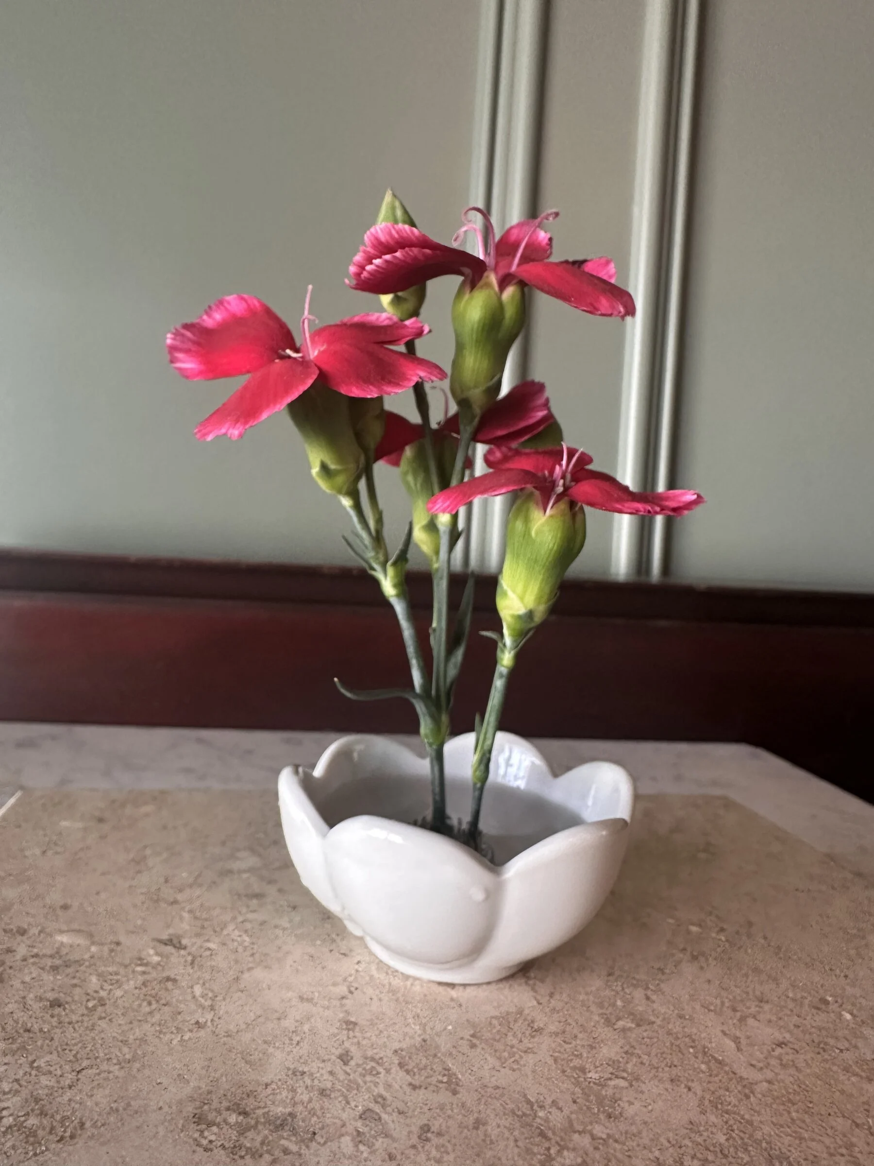 pink-dianthus-scalloped-bud-vase-raleigh-florist.jpg