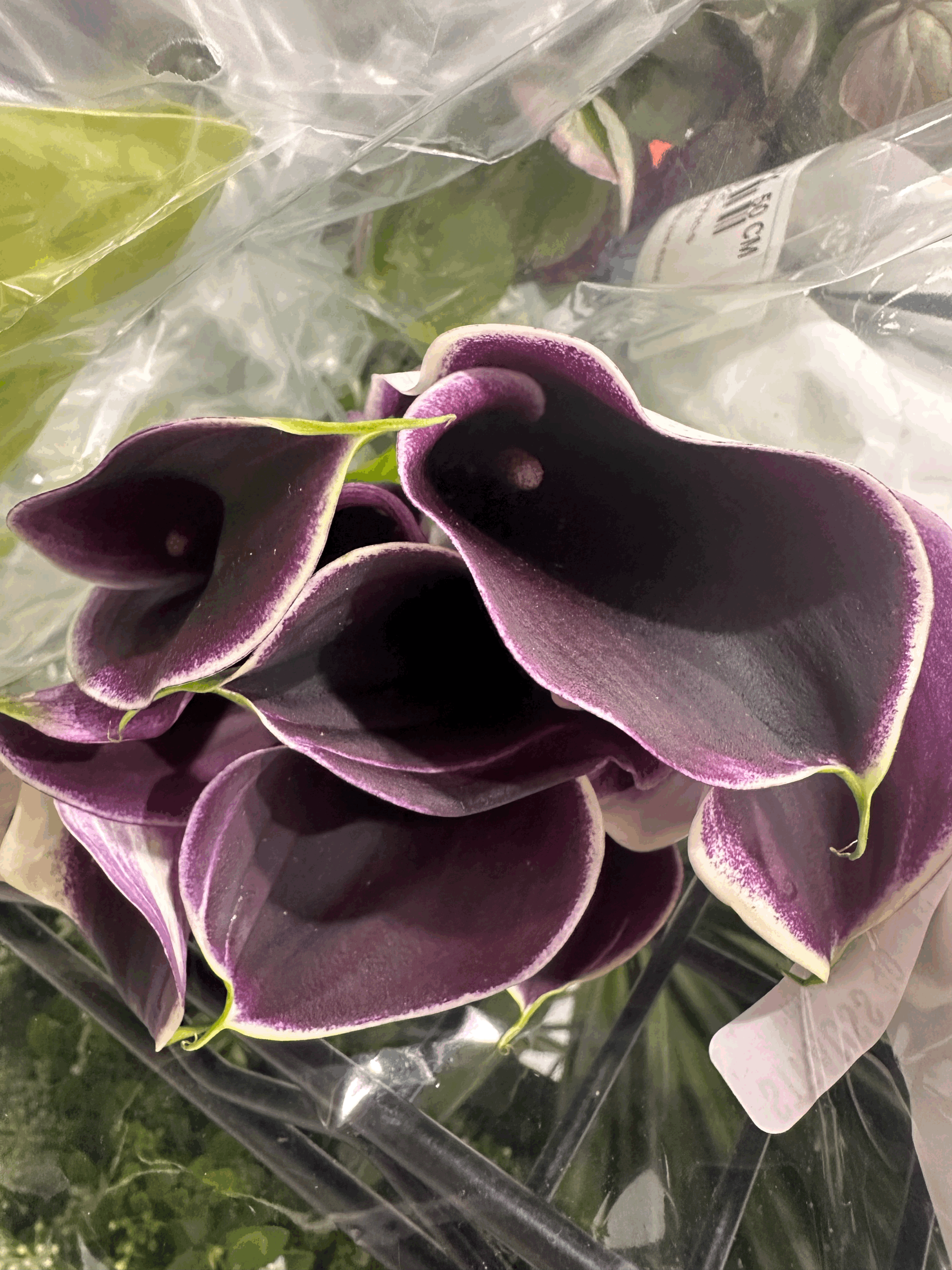 The Bloom Club | Monthly Fresh Flower Subscription