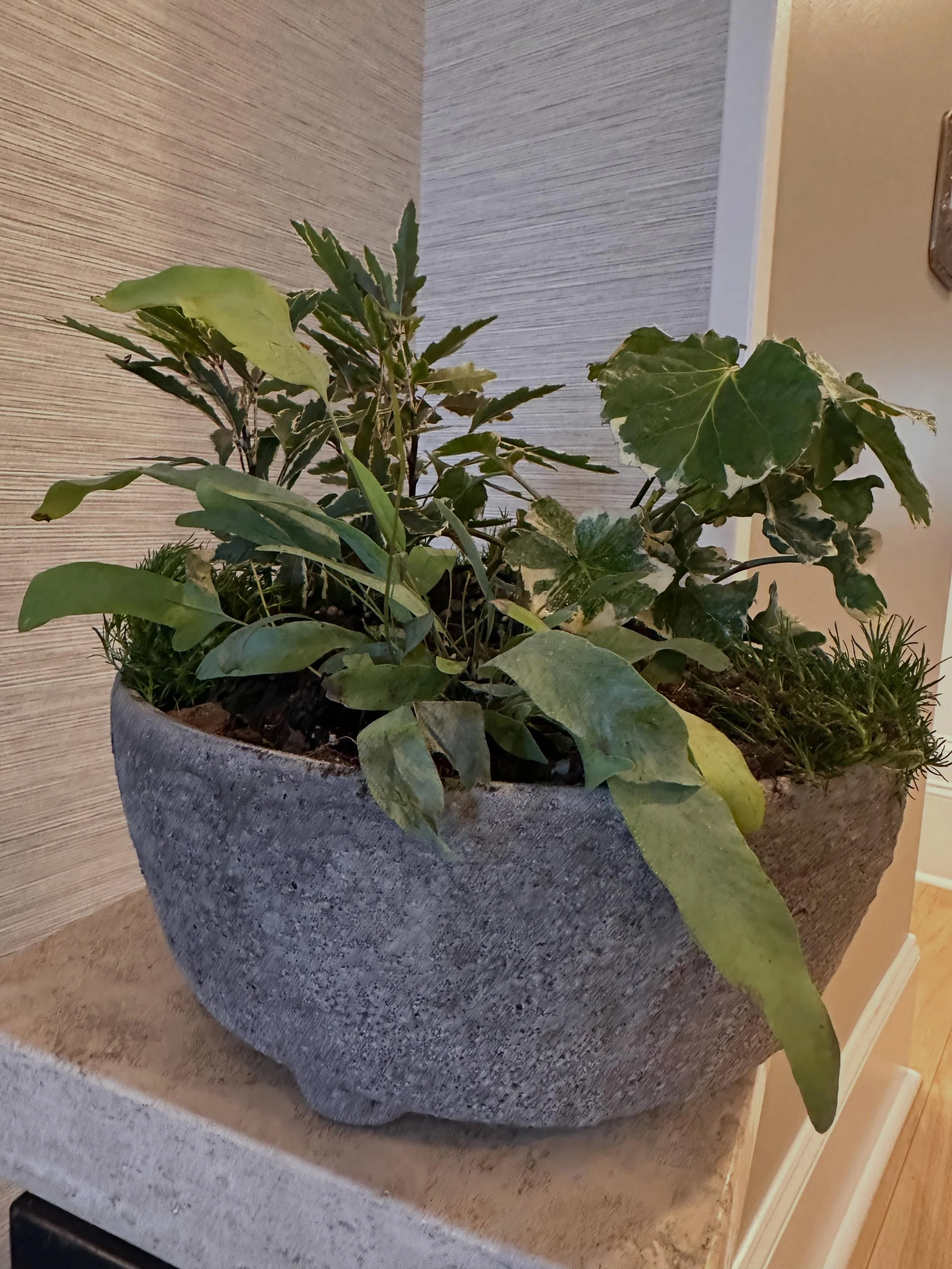Introducing living centerpieces &hellip;.