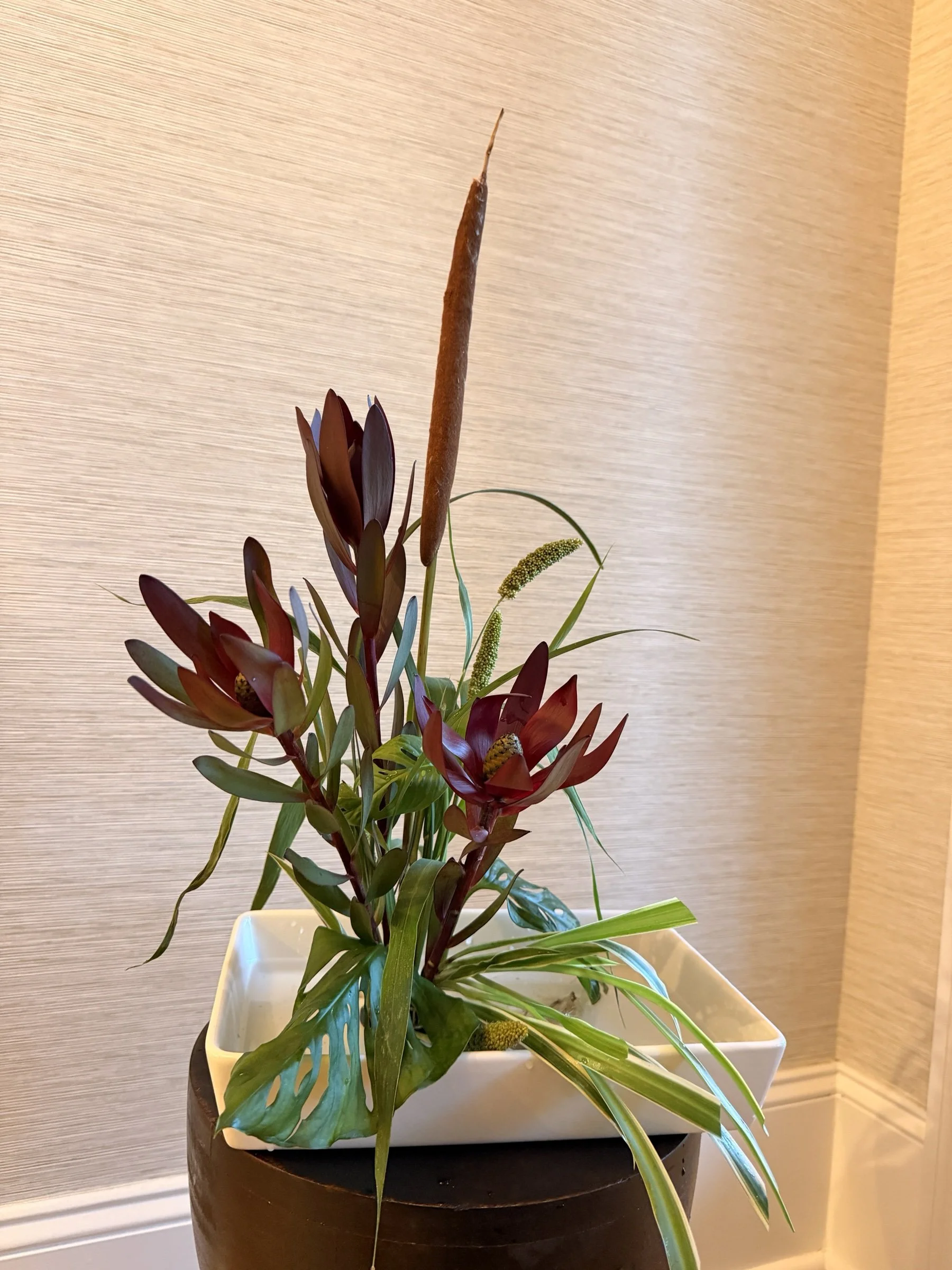Marsh Edge Ikebana Cattail Arrangement