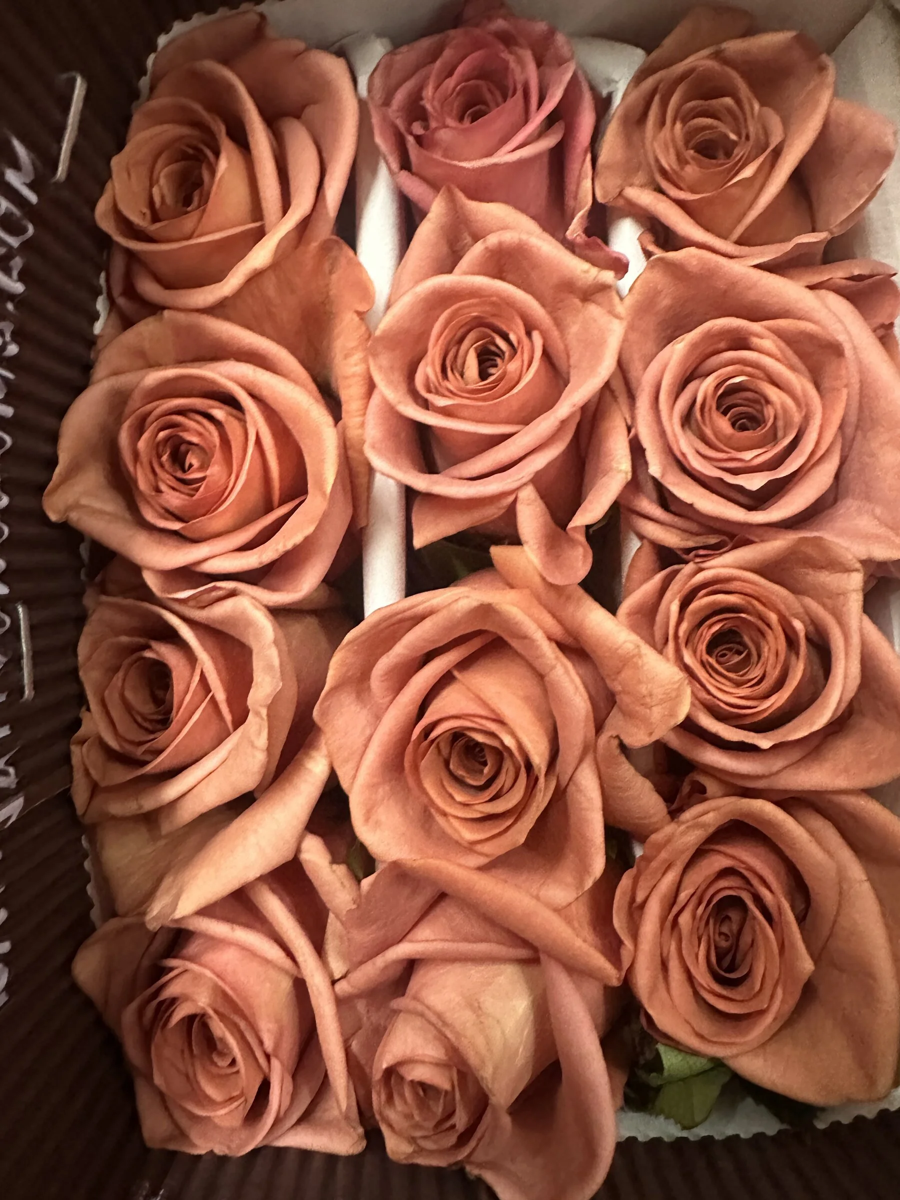 peach-rose-wholesale-flower-box-apex-florist.jpg