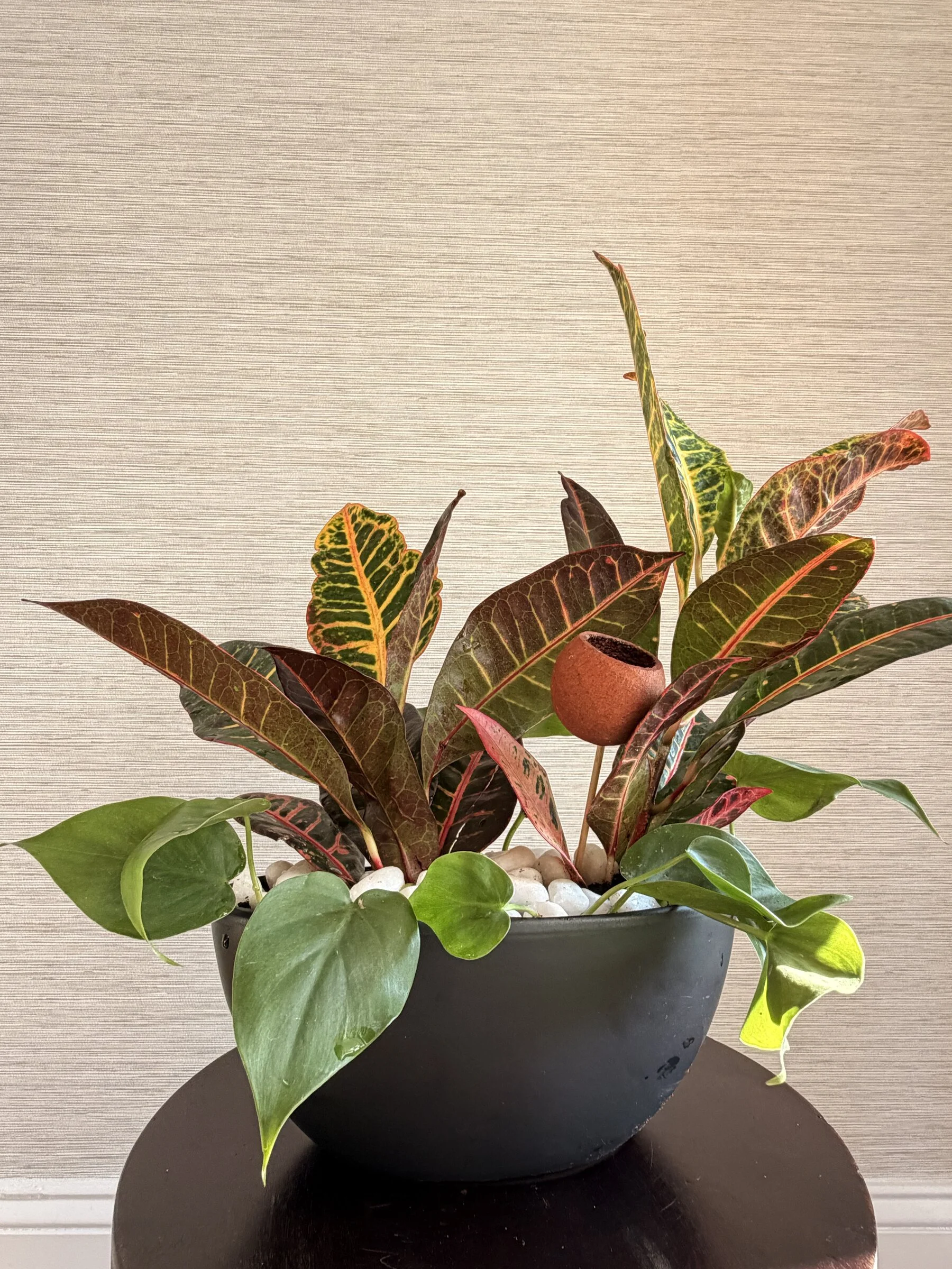 Fall Ember Living Centerpiece (Ceramic Black Boat)