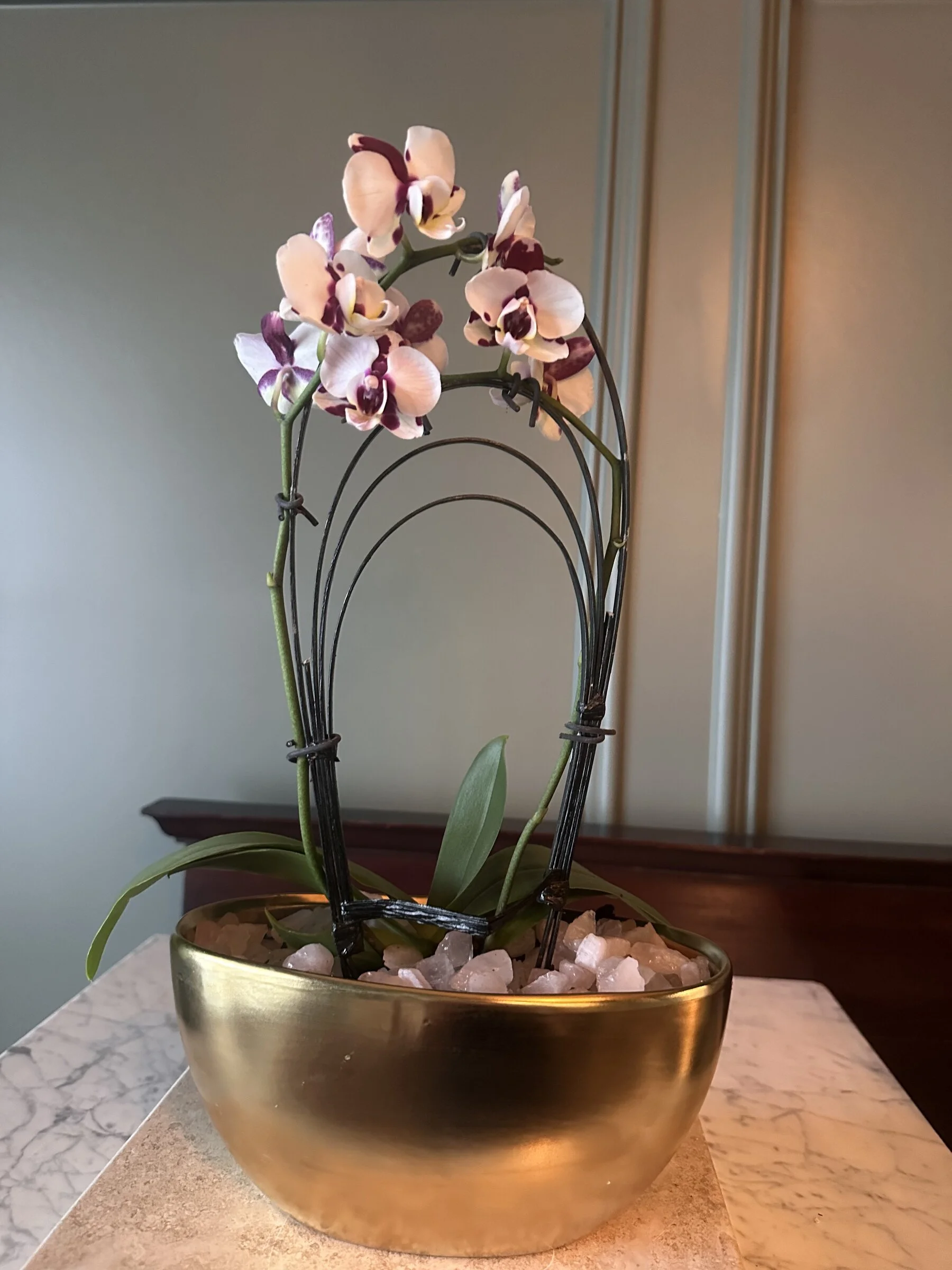 mixed-greenery-textured-bowl-arrangement-triangle-nc.jpg