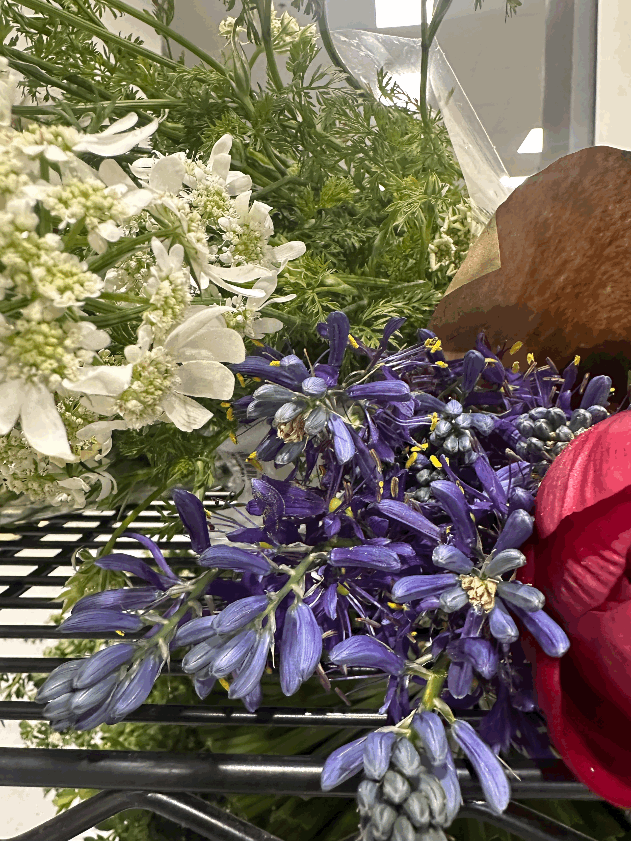The Bloom Club | Monthly Fresh Flower Subscription