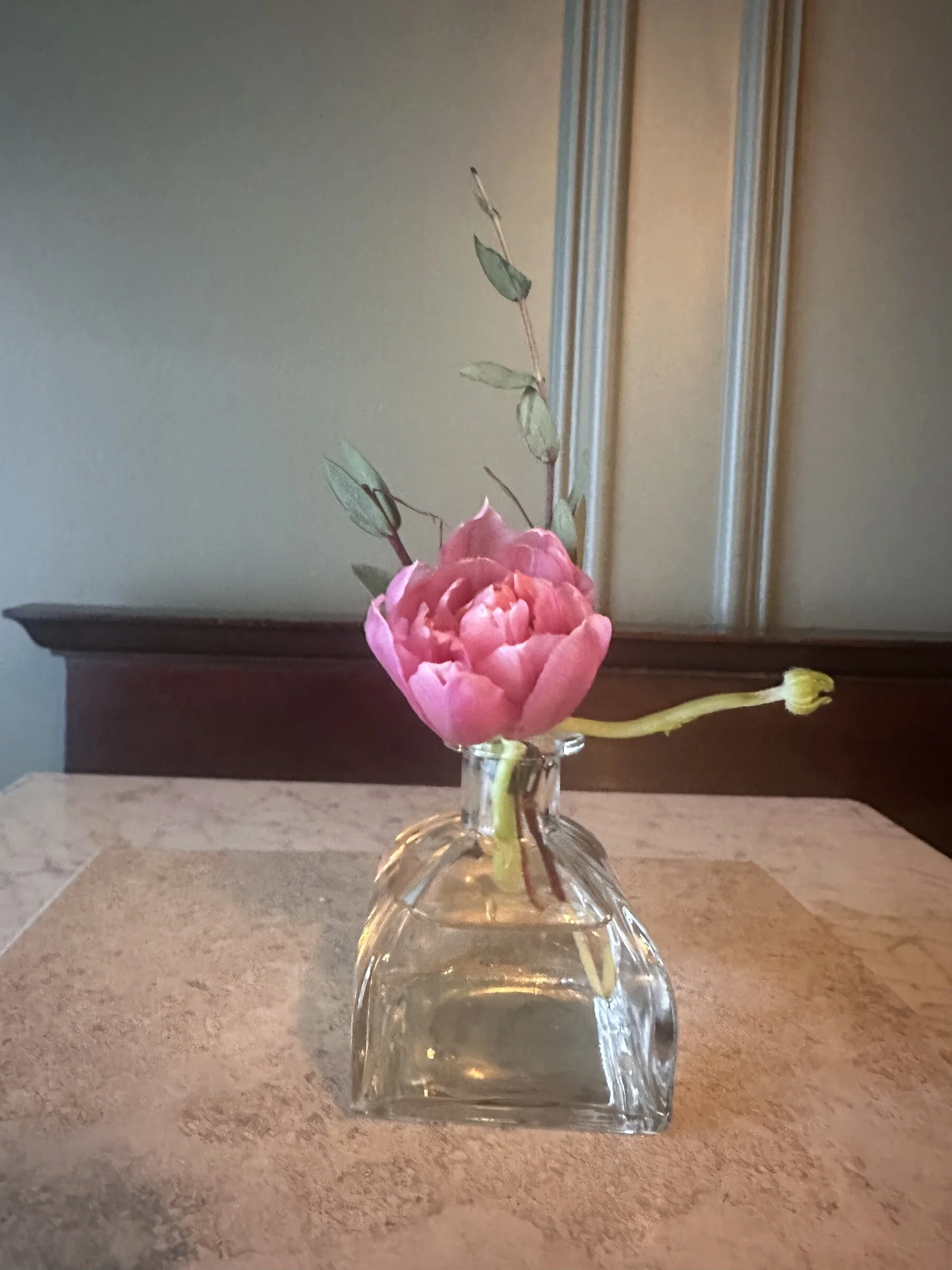 The Solitary | A Single Bloom