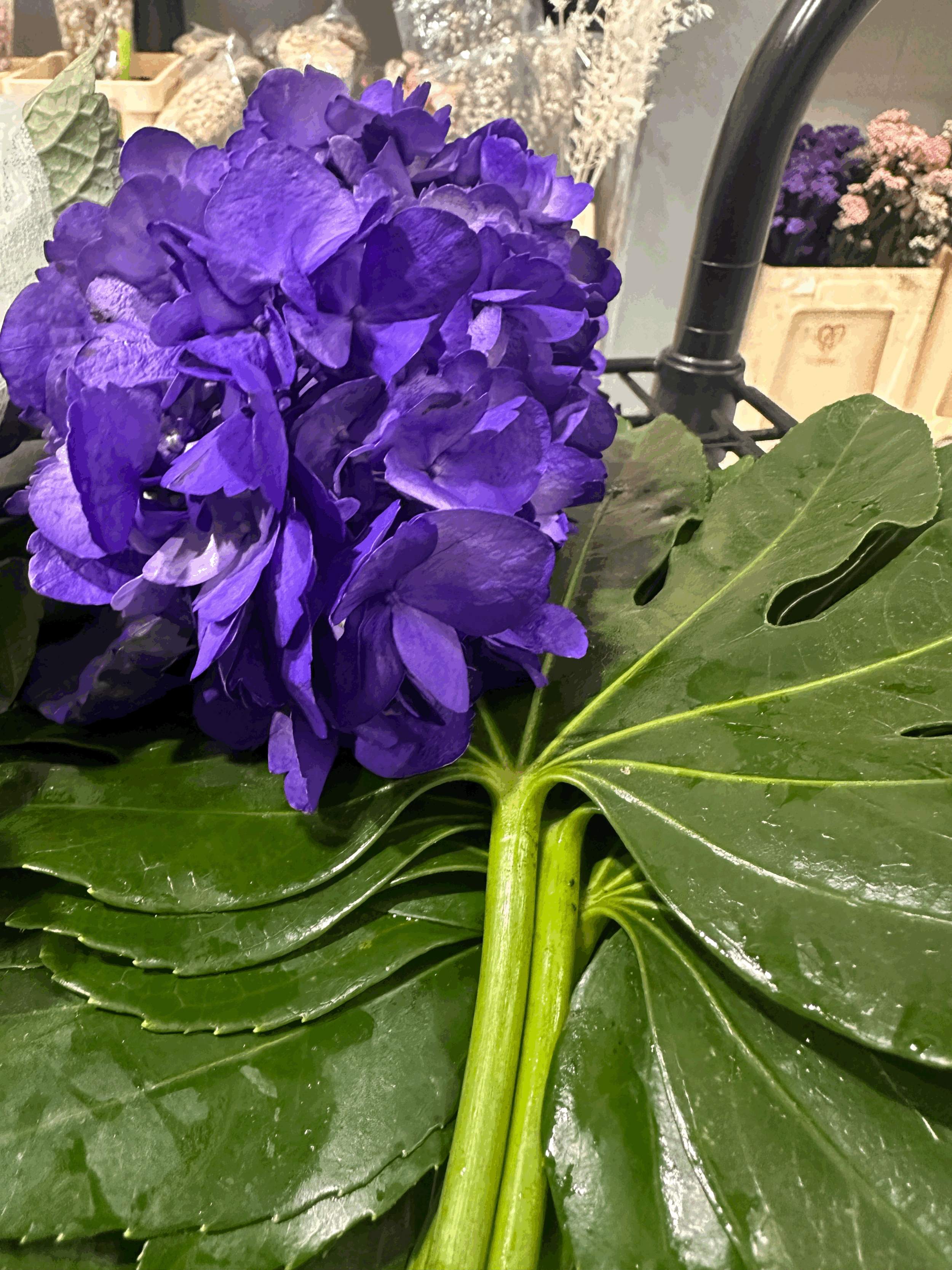 The Bloom Club | Monthly Fresh Flower Subscription
