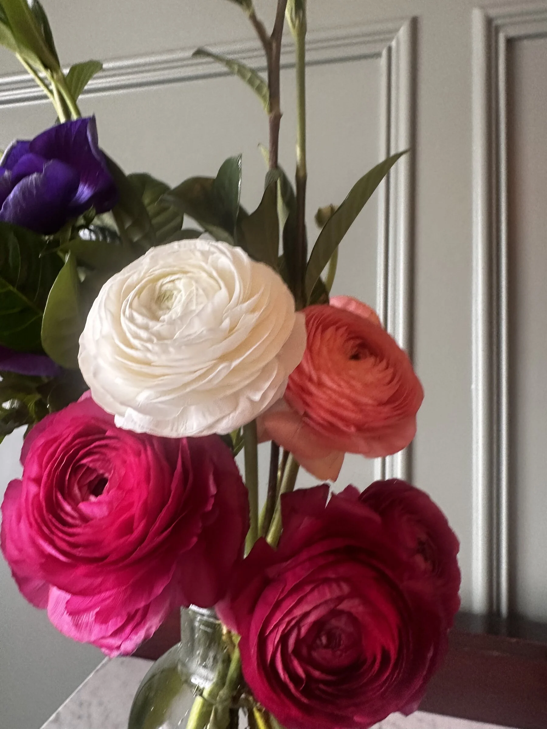 Close-up of a vase with pink, white, purple, and coral ranunculus flowers, some with green leaves, against a grey door background.