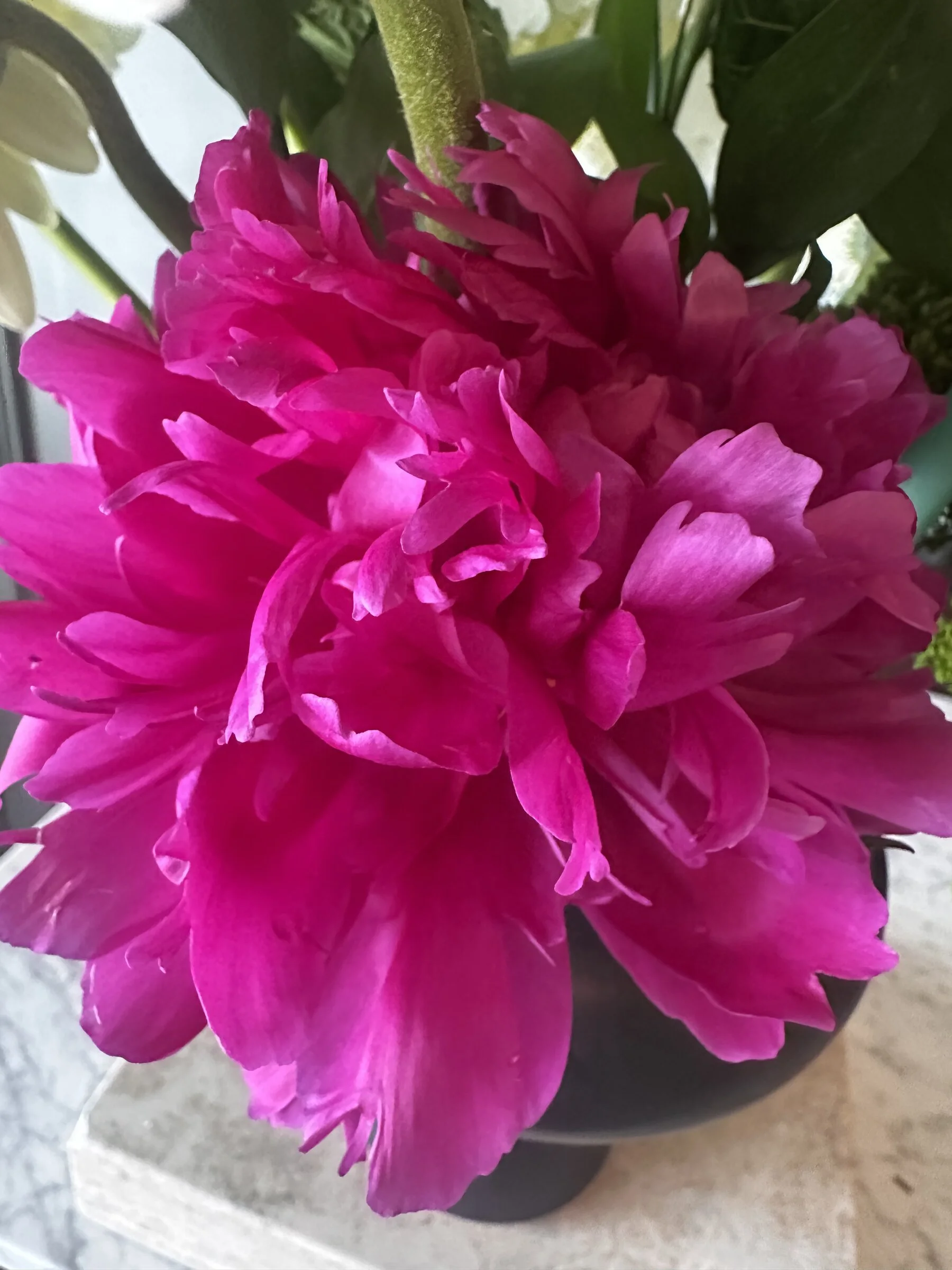 mixed-seasonal-bouquet-detail-apex-florist.jpg