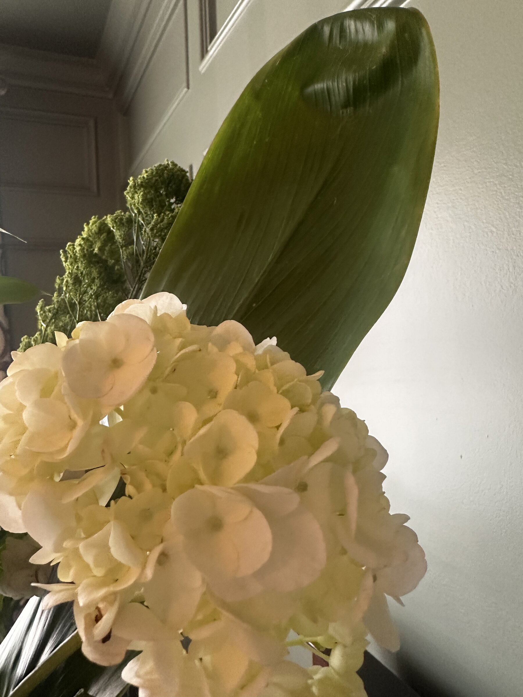 
White hydrangea with flowering branch, close-up floral detail, Botanical Studio by Kelly Eileen.