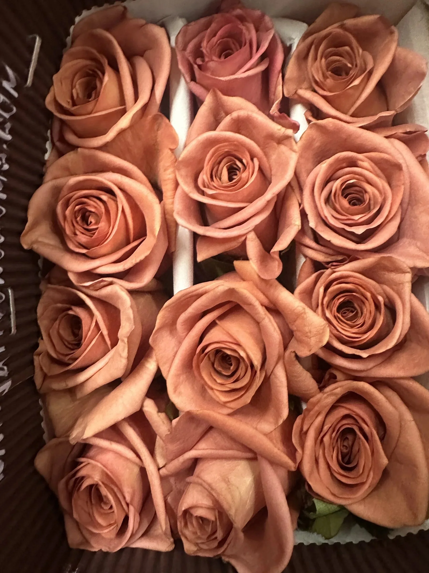A basket of light pink roses with some greenery at the bottom.