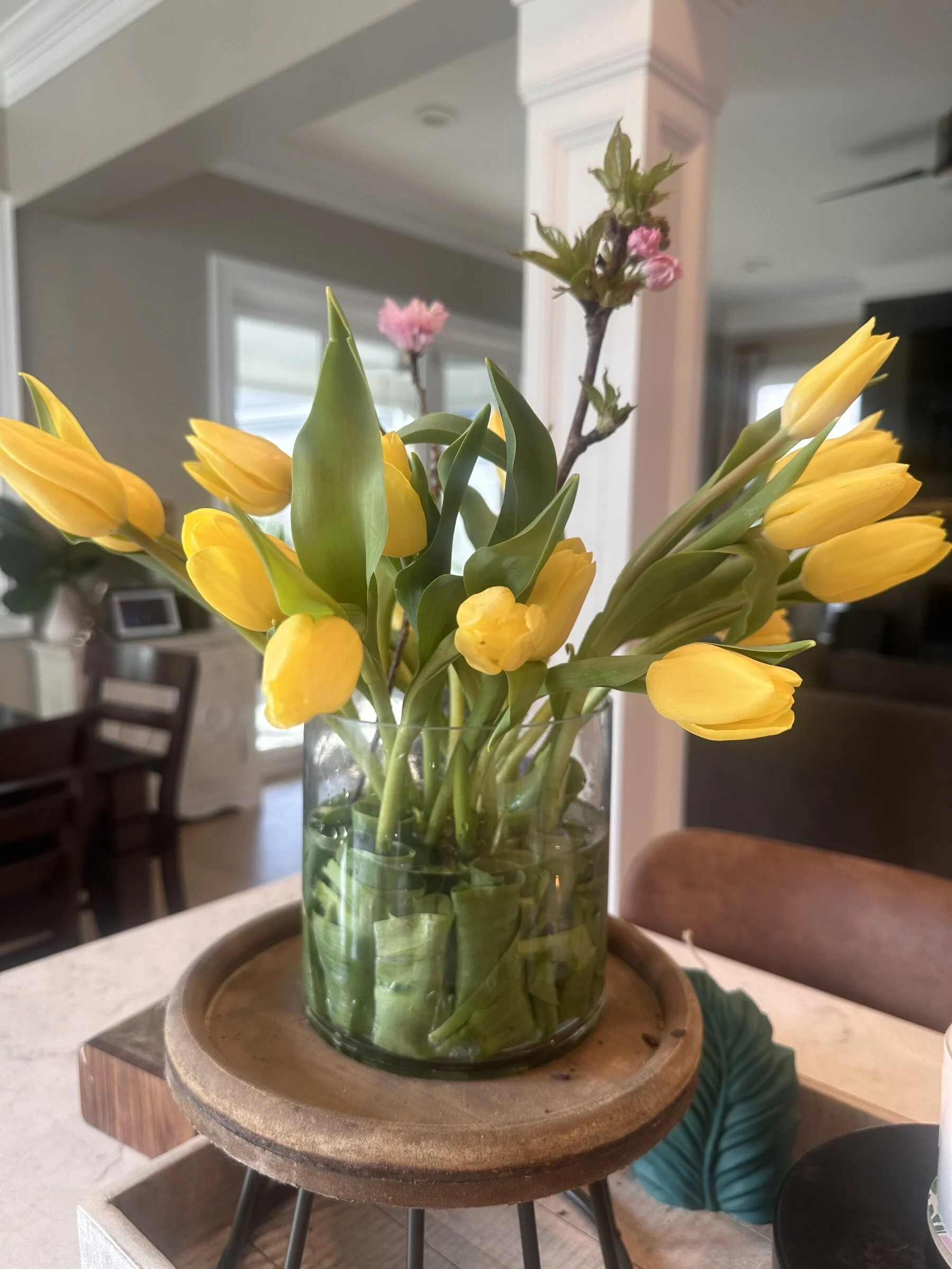 Beautiful Yellow Tulips in a glass container with dog wood branches, blooming with pink flowers.  Apex florist. 