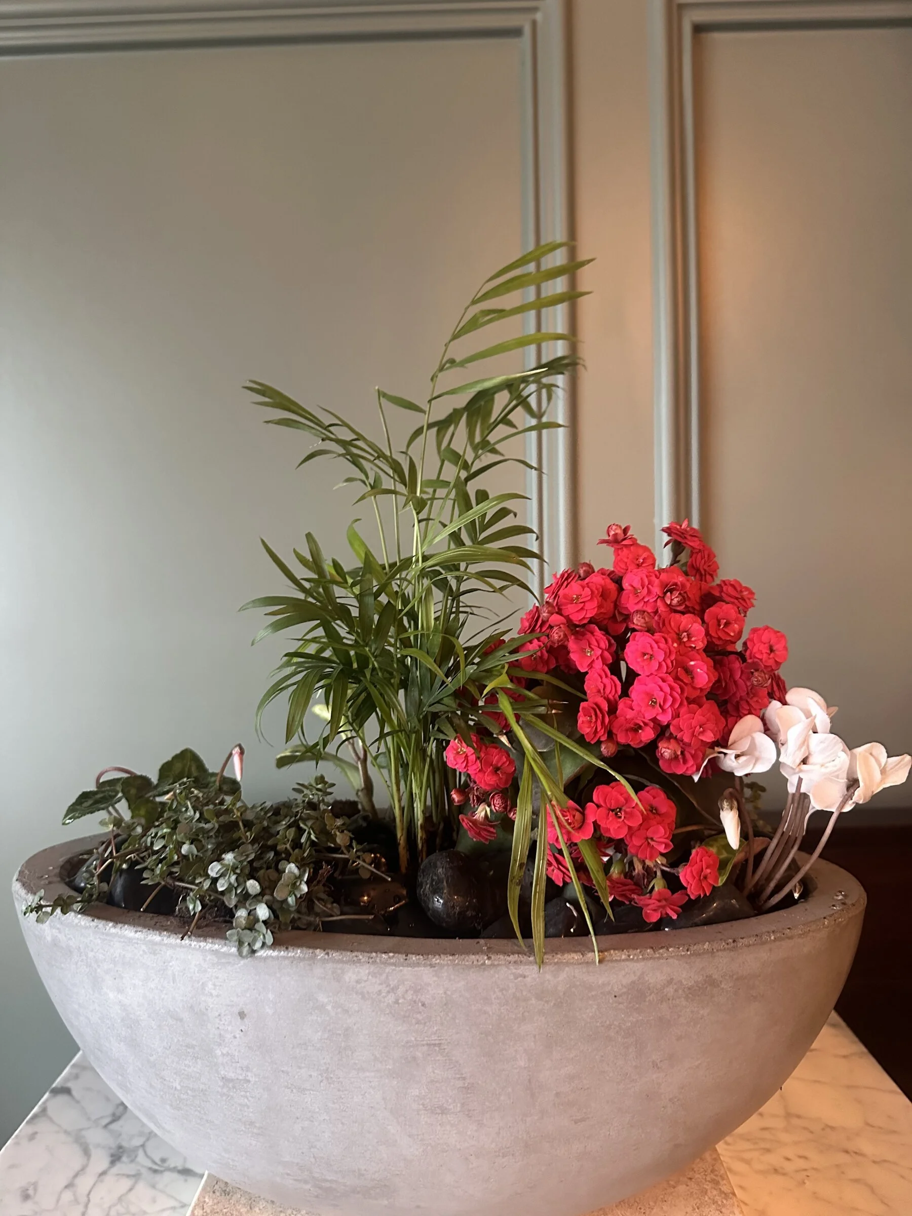 orchid-moss-white-urn-arrangement-apex-nc-florist.jpg