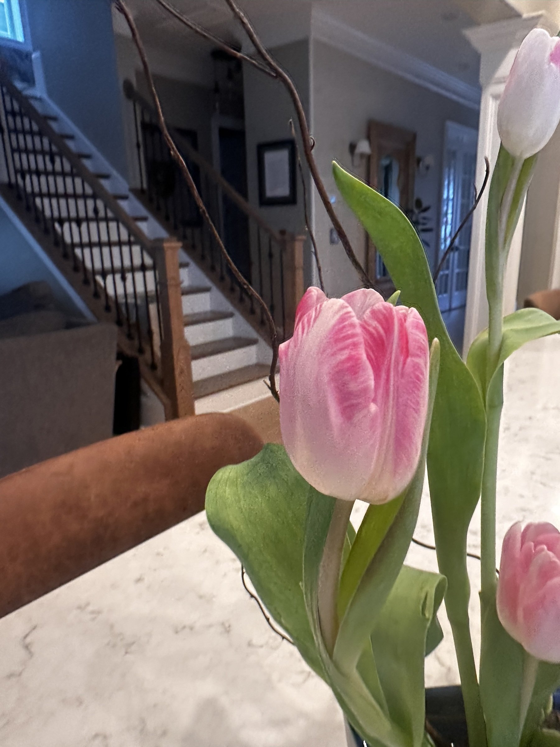 pinktulipbranchnavyvesselspringikebanaapexfloristv2.jpg