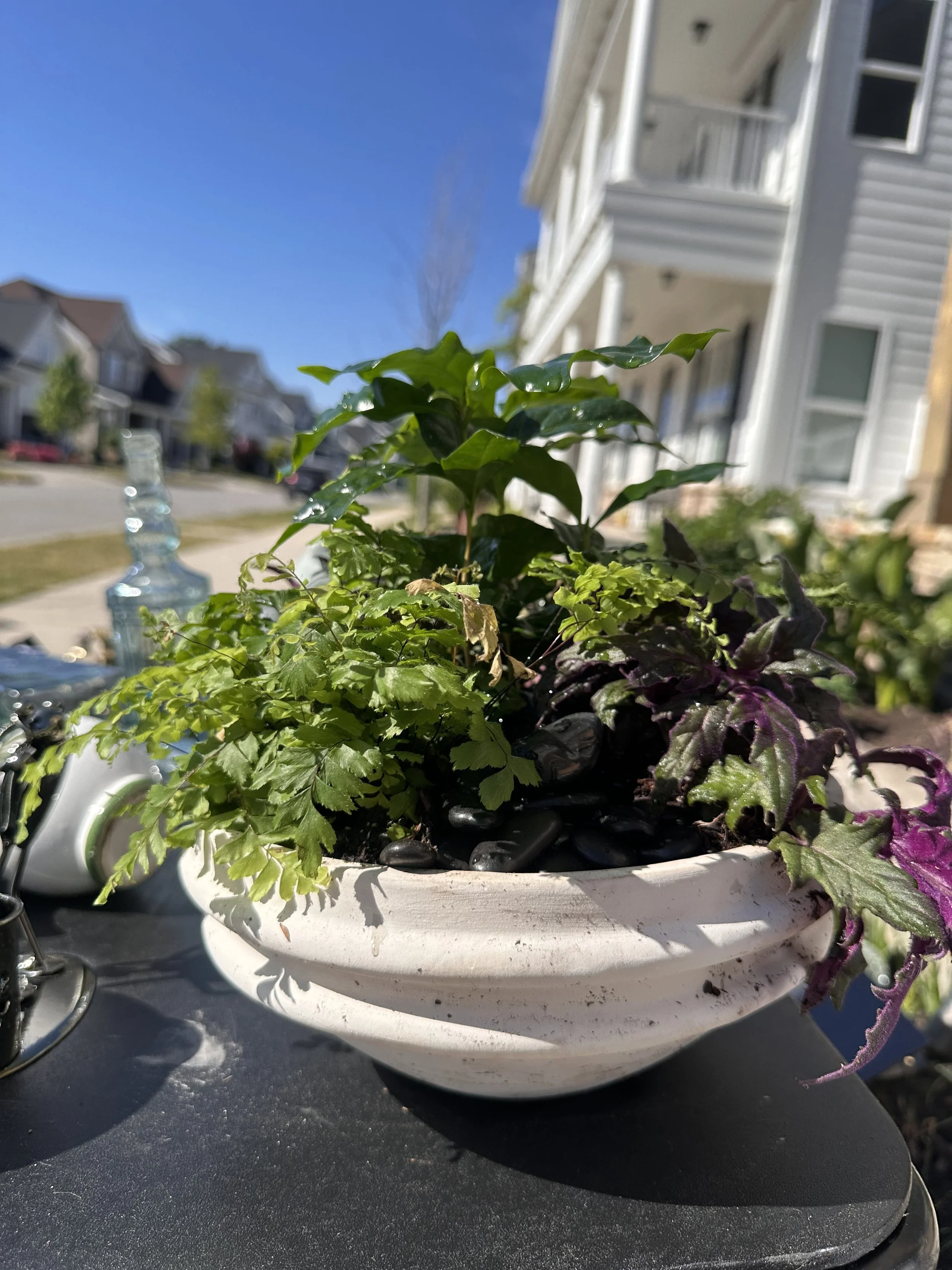 The Living Table Garden