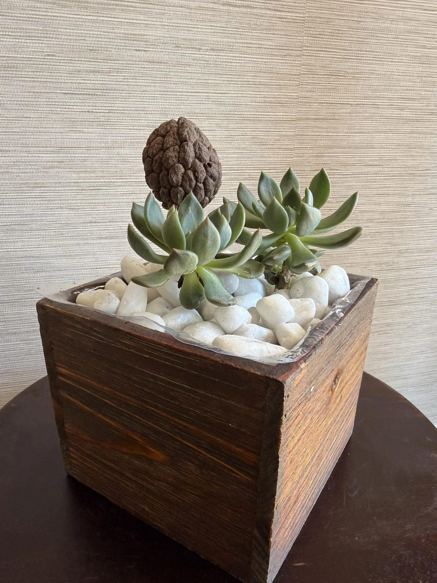 echeveriasucculentwoodplanterapexflorist.jpg