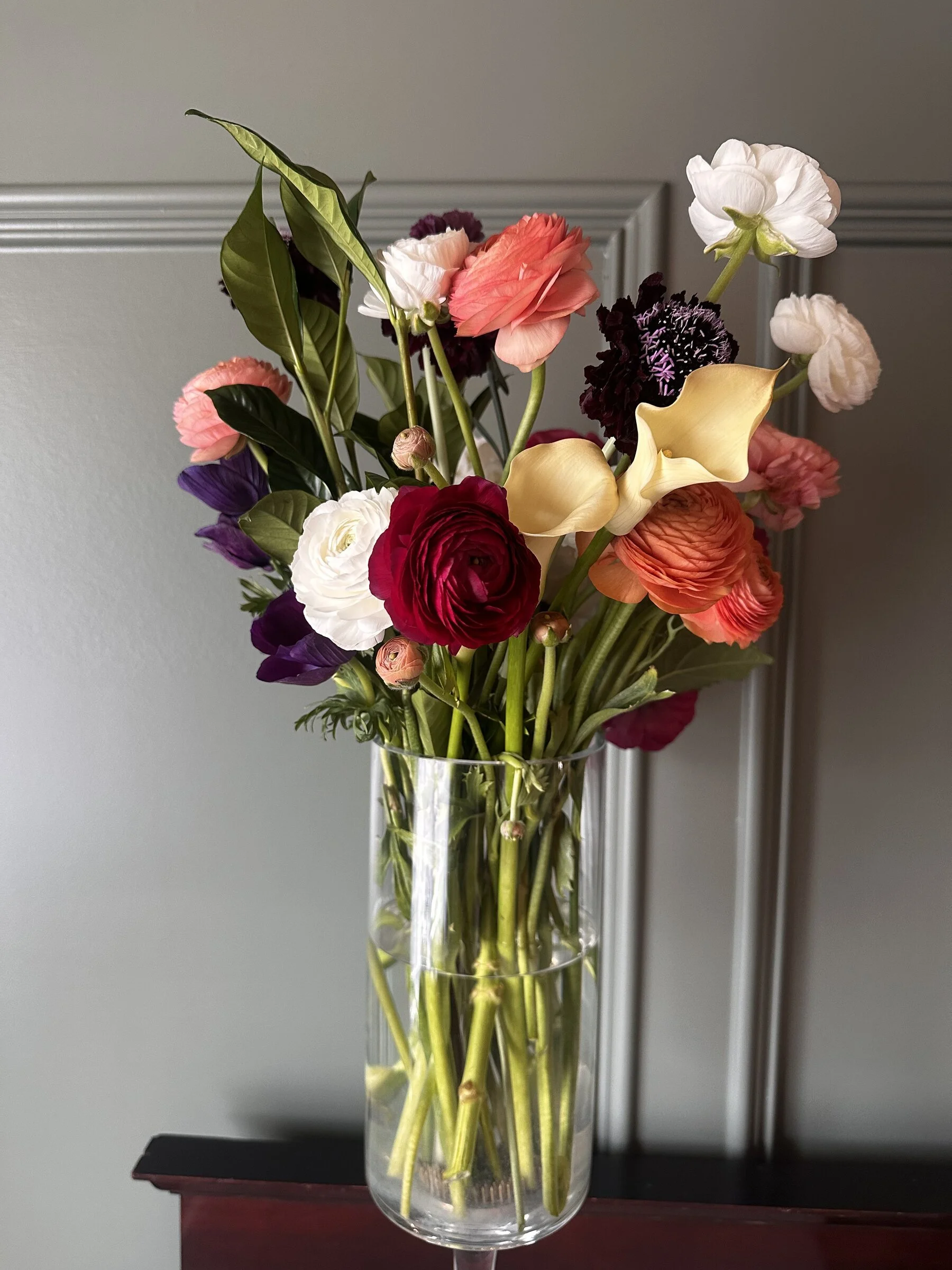 A vase with a rainbow of multicolored anemone flowers, including shades of purple, white, pink, red, orange, and yellow, arranged with green leaves, set against a gray wall background.
