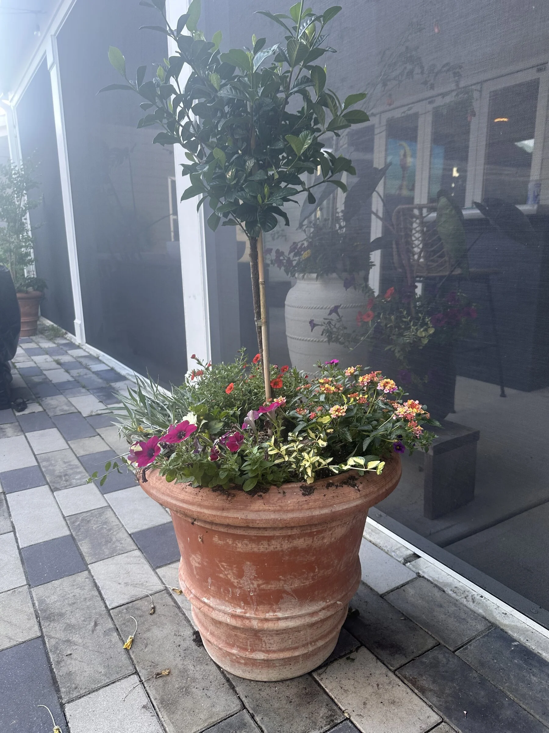 The Container Club | Seasonal Outdoor Planting Subscription