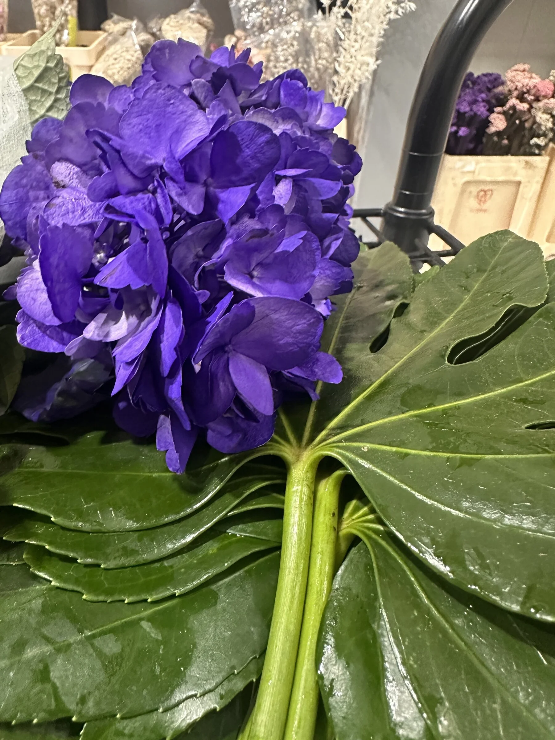 purple-hydrangea-monstera-leaf-wholesale-sourcing-nc-florist.jpg