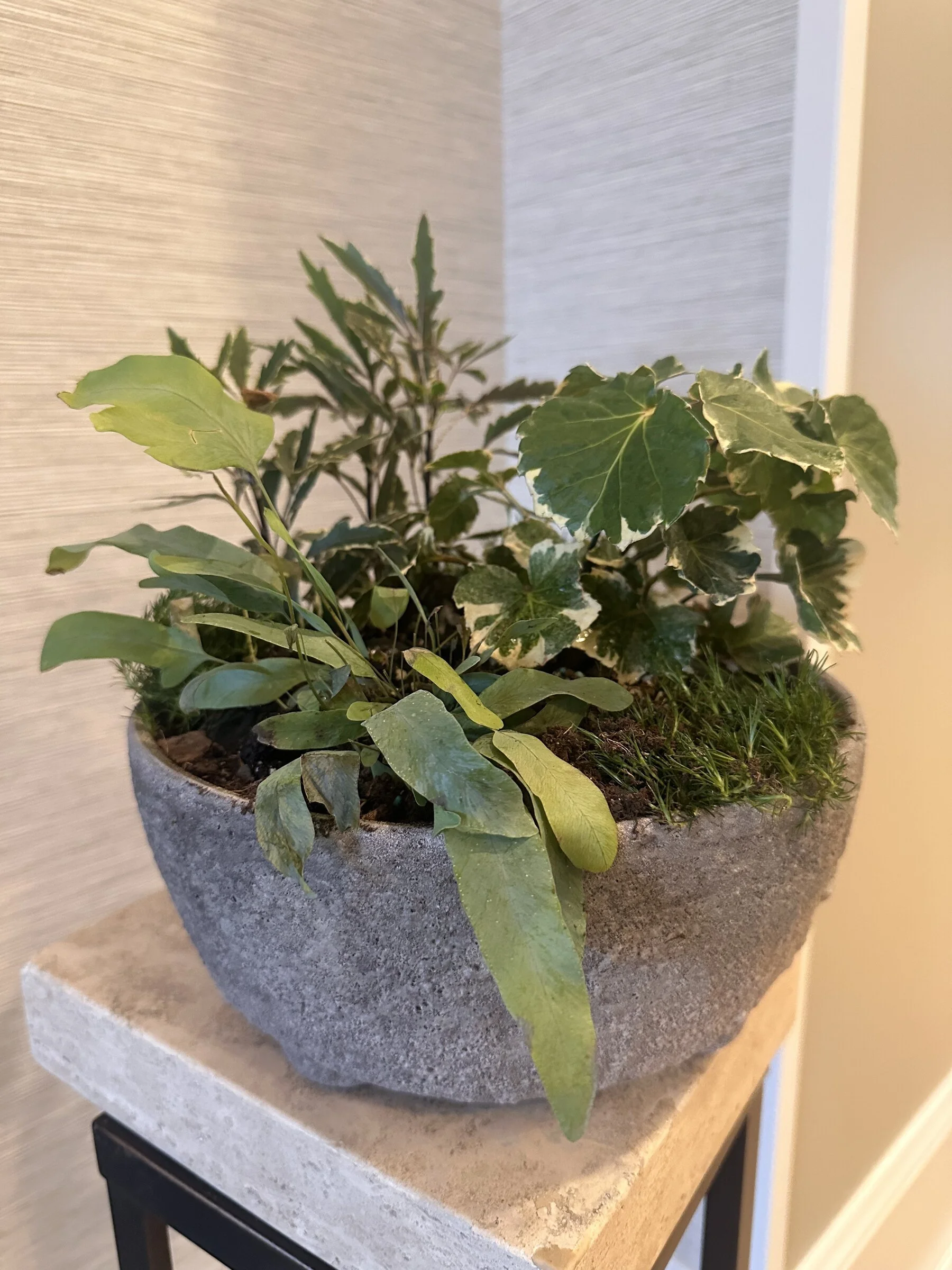 The Living Centerpiece