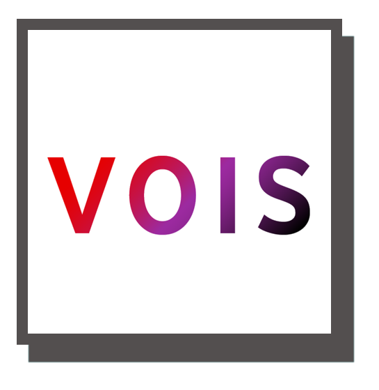 The image shows the word "VOIS" in colorful gradient letters on a white background.