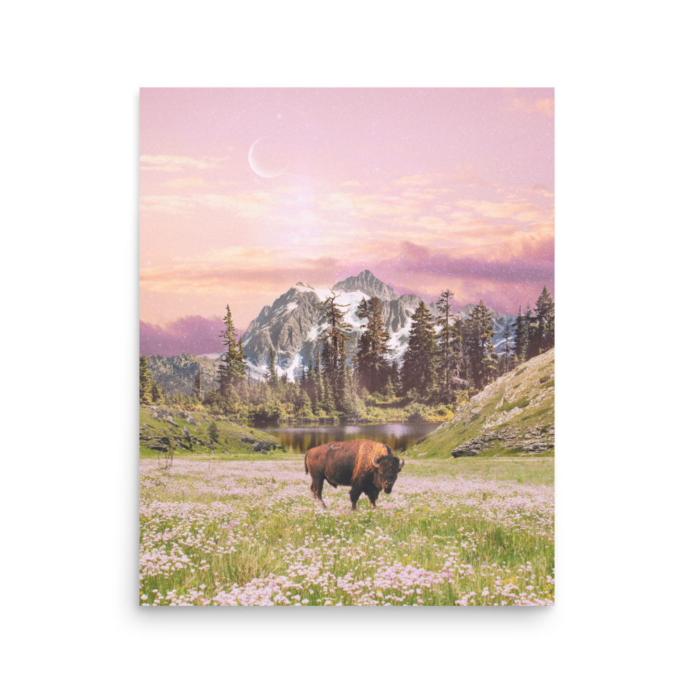 enhanced-matte-paper-poster-(in)-16x20-front-6a04ead70b3ce.png