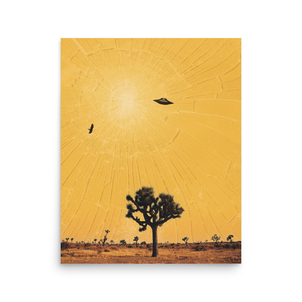 enhanced-matte-paper-poster-(in)-16x20-front-6a04e3fcd78fe.png