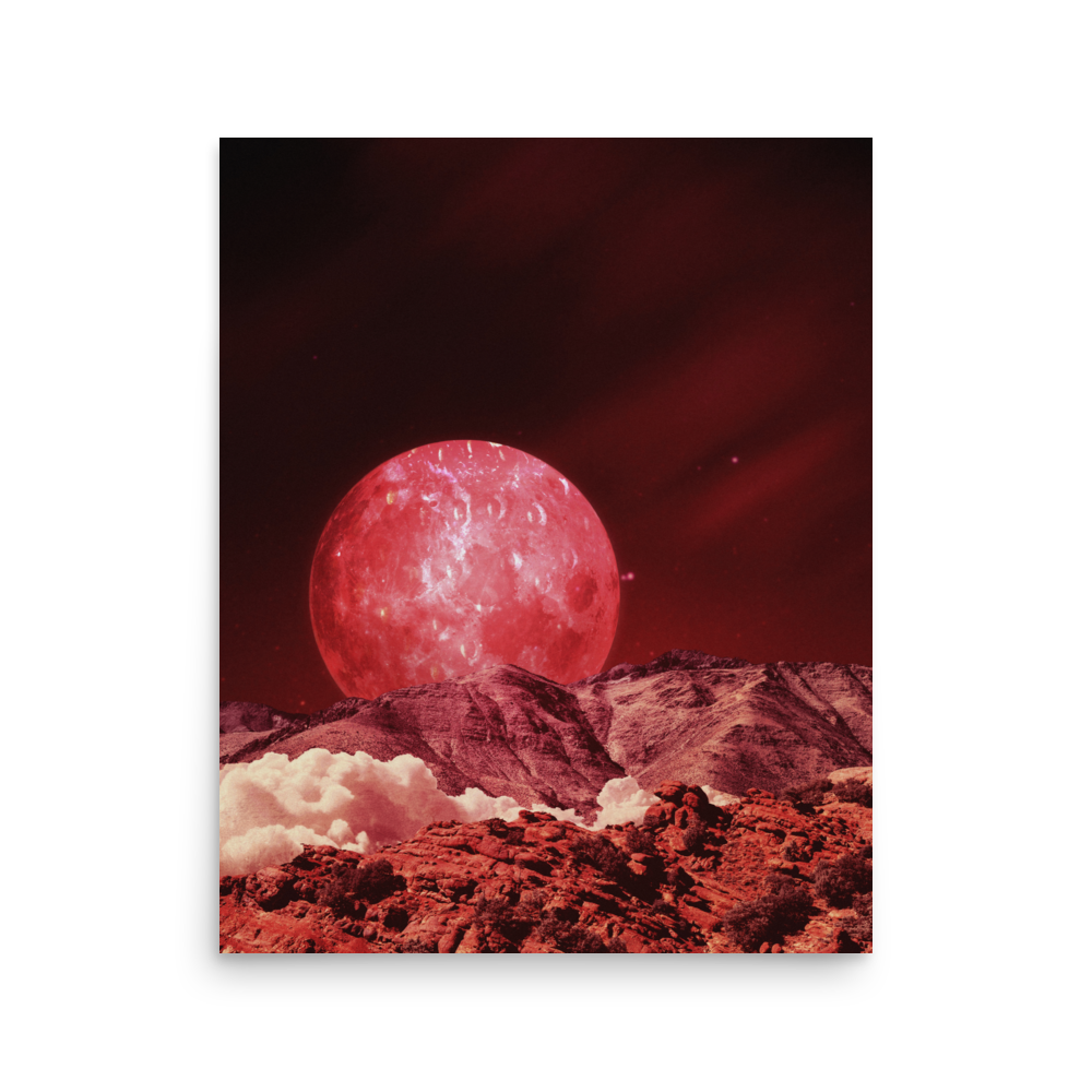 enhanced-matte-paper-poster-(in)-16x20-front-6a541747c1d0b.png