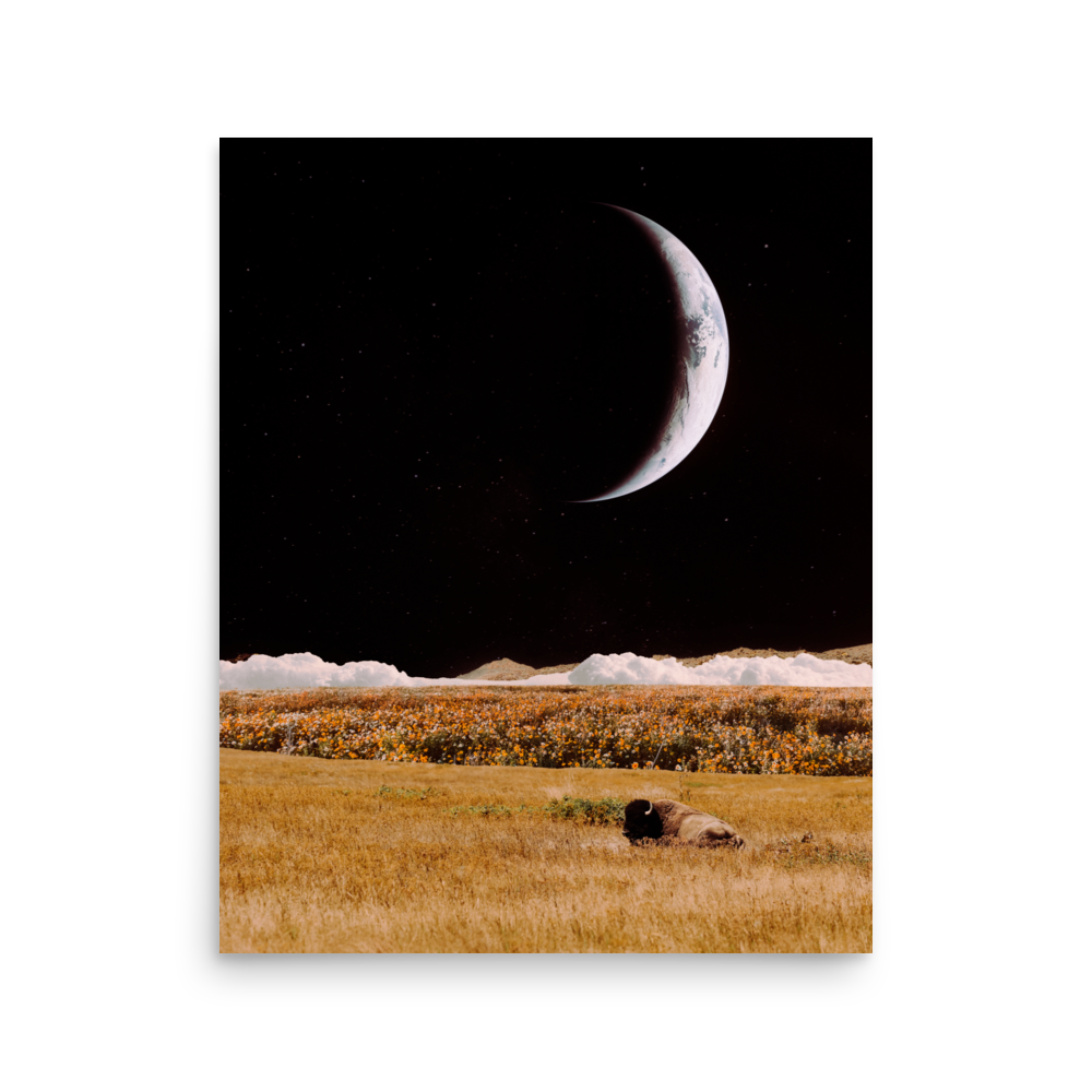 enhanced-matte-paper-poster-(in)-16x20-front-6a02935eb8ea8.png