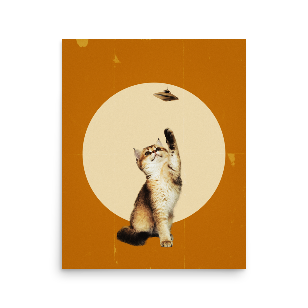 enhanced-matte-paper-poster-(in)-16x20-front-6a04eafd9bb77.png