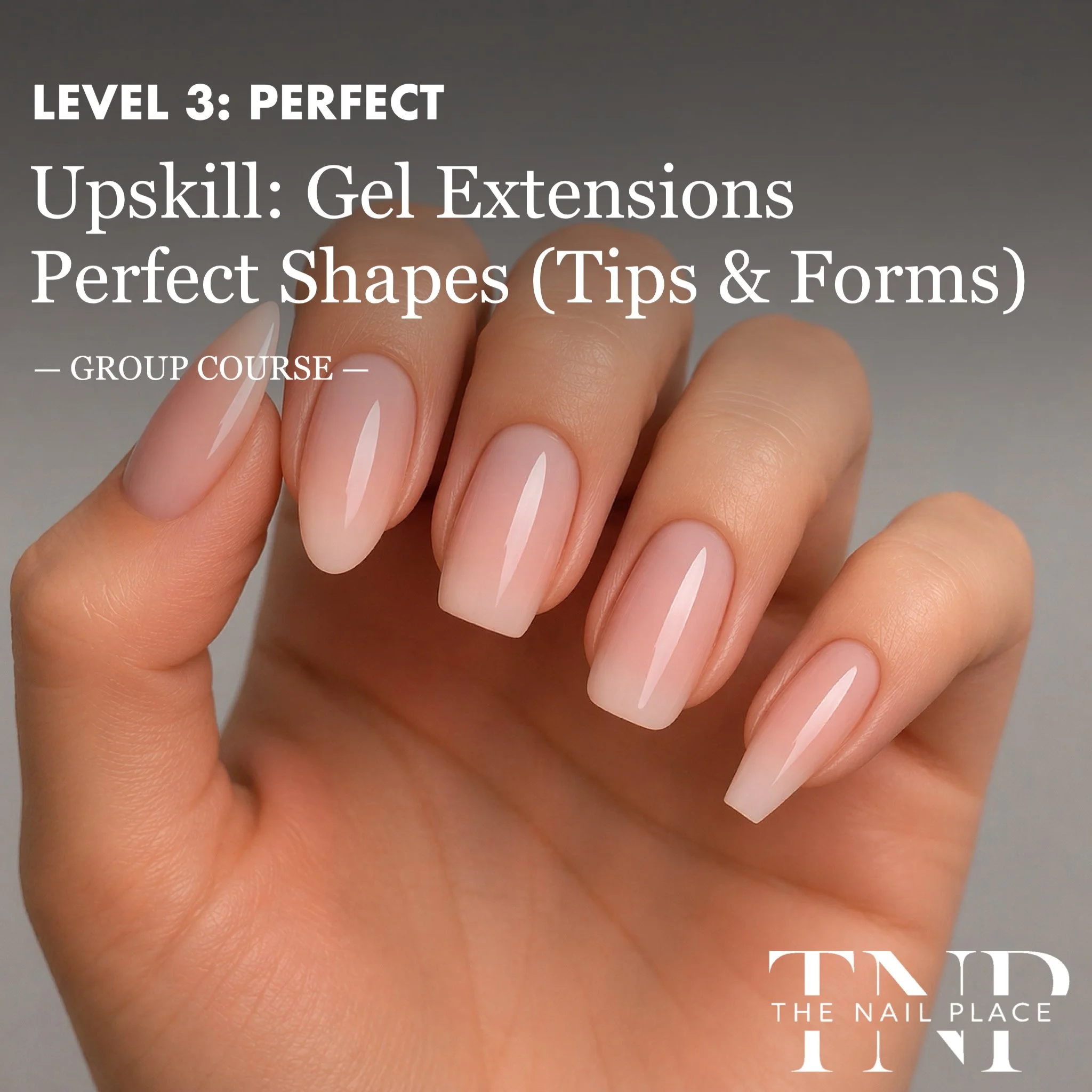 Perfect Shapes - Gel Extensions Upskill Course