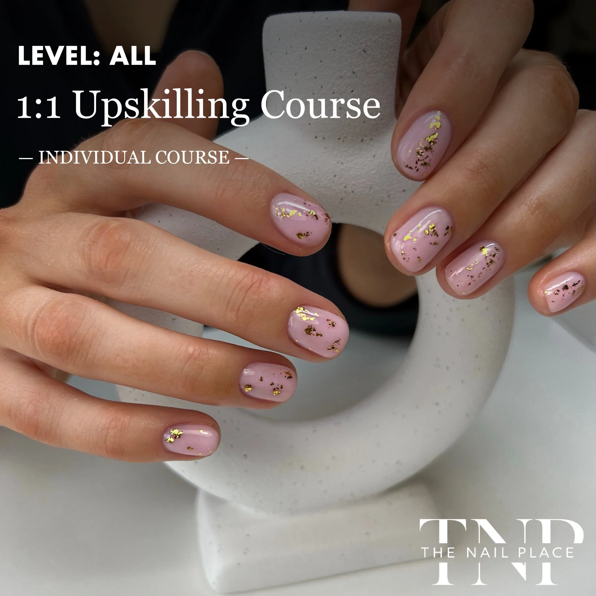 1:1 Individual Upskilling Course