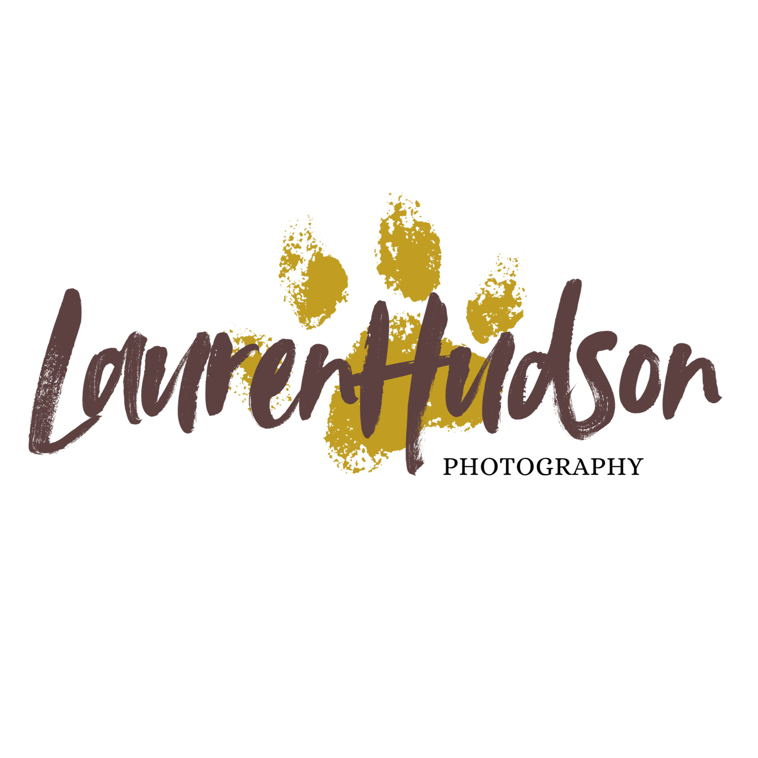 Lauren Hudson Dog Photography