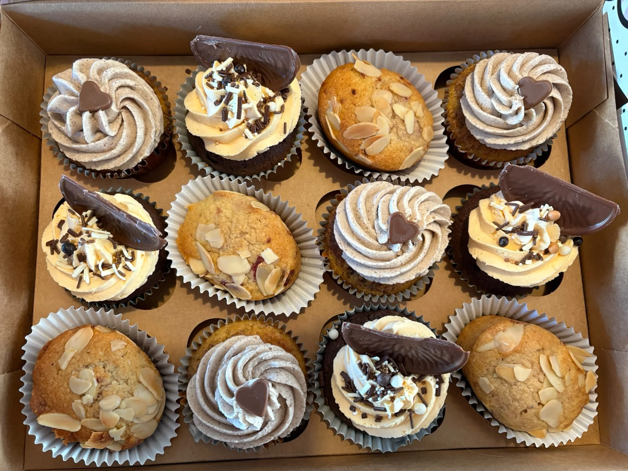 Chocolate cupcake selection
