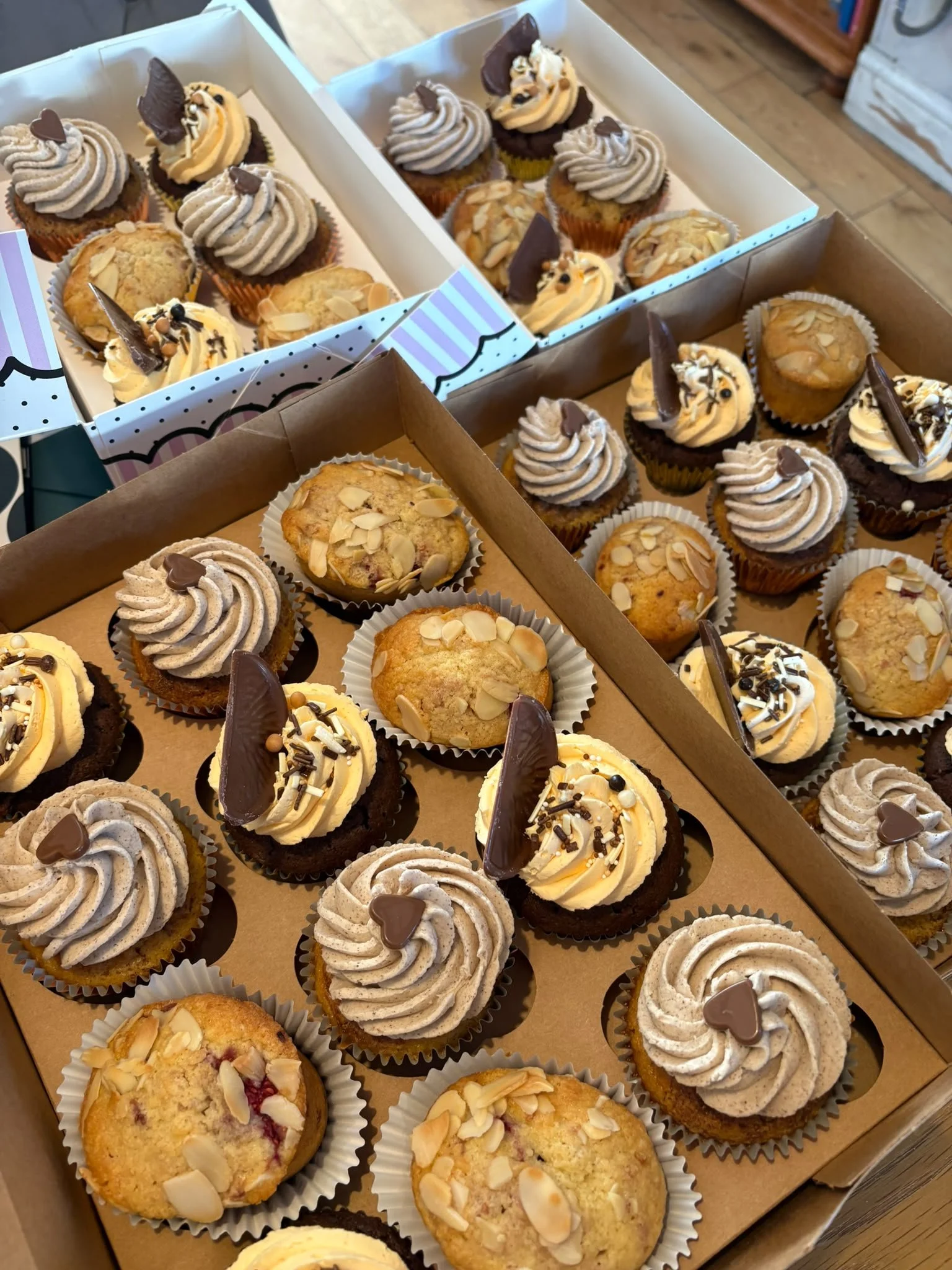 Cupcake treat boxes