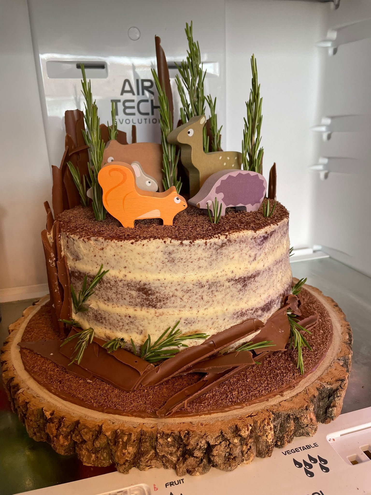 Down in the Forest novelty cake
