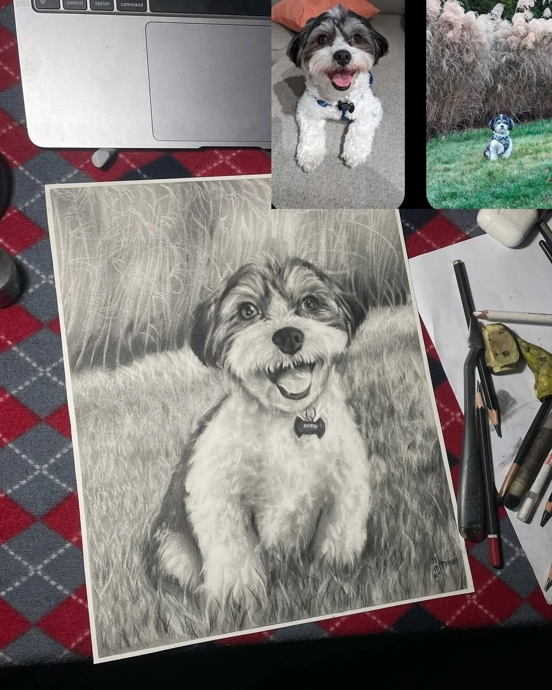 A detailed black-and-white pencil drawing of a happy dog sitting in grass, with photos of the same dog displayed above as a puppy and outdoors.
