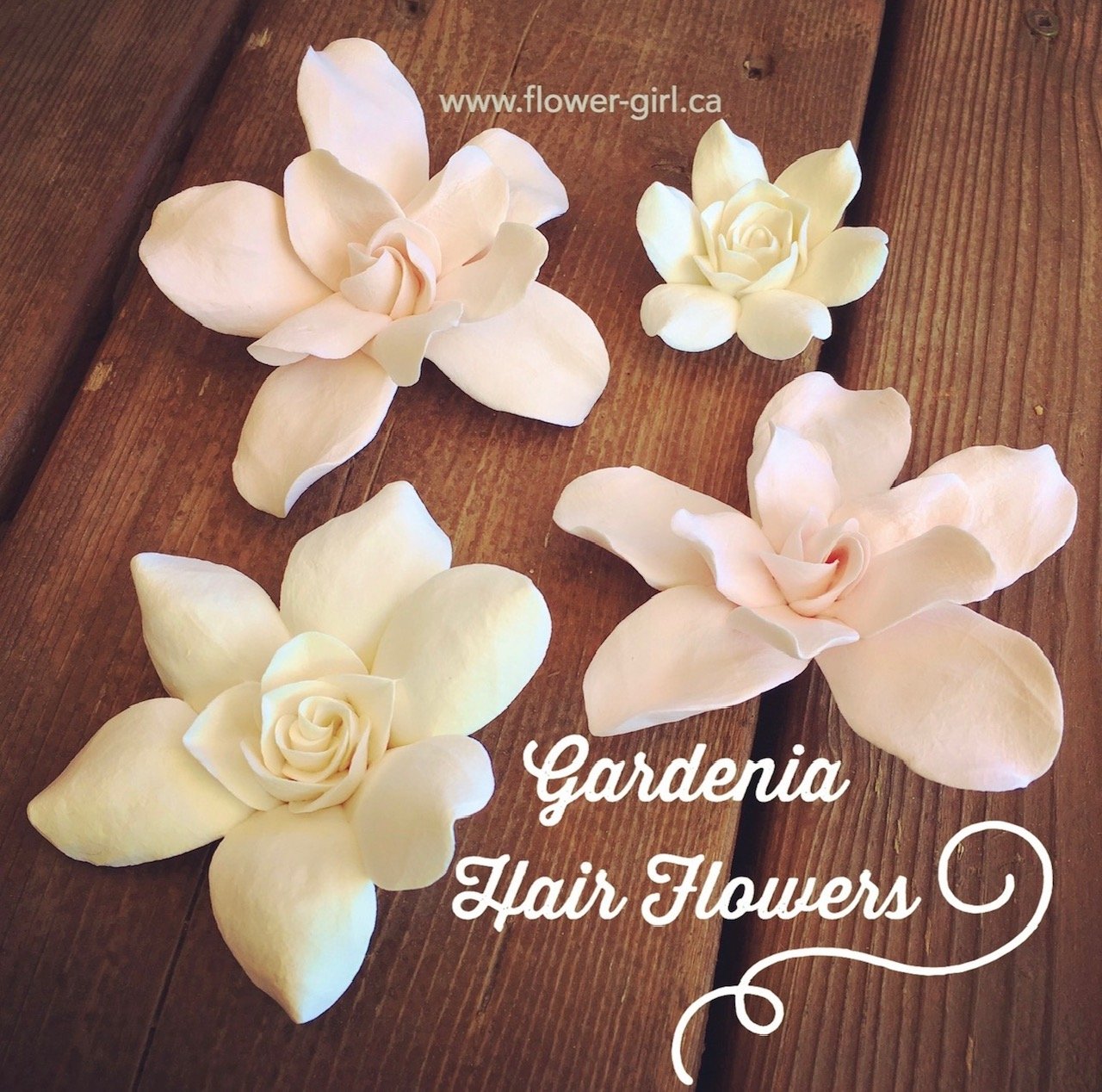 Four gardenia hair flowers of various sizes created with air-dry clay featuring a range of white, creme and light pink coloured blooms arranged on a wooden surface with the text 'www.flower-girl.ca' and 'Gardenia Hair Flowers' written on the image.