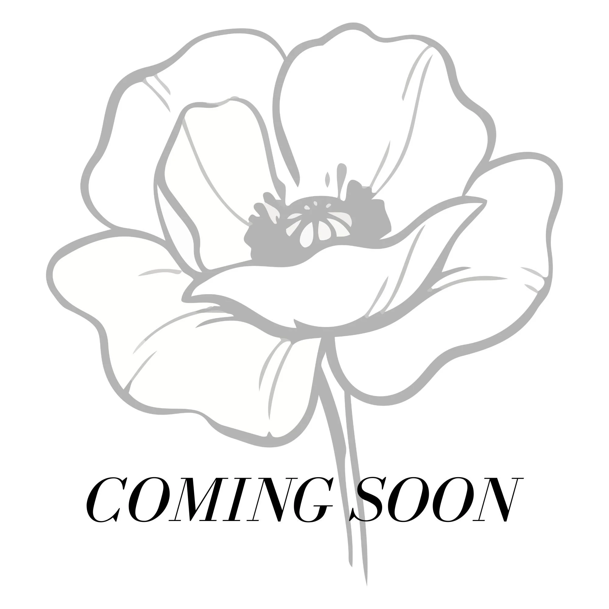 coming soon.jpg
