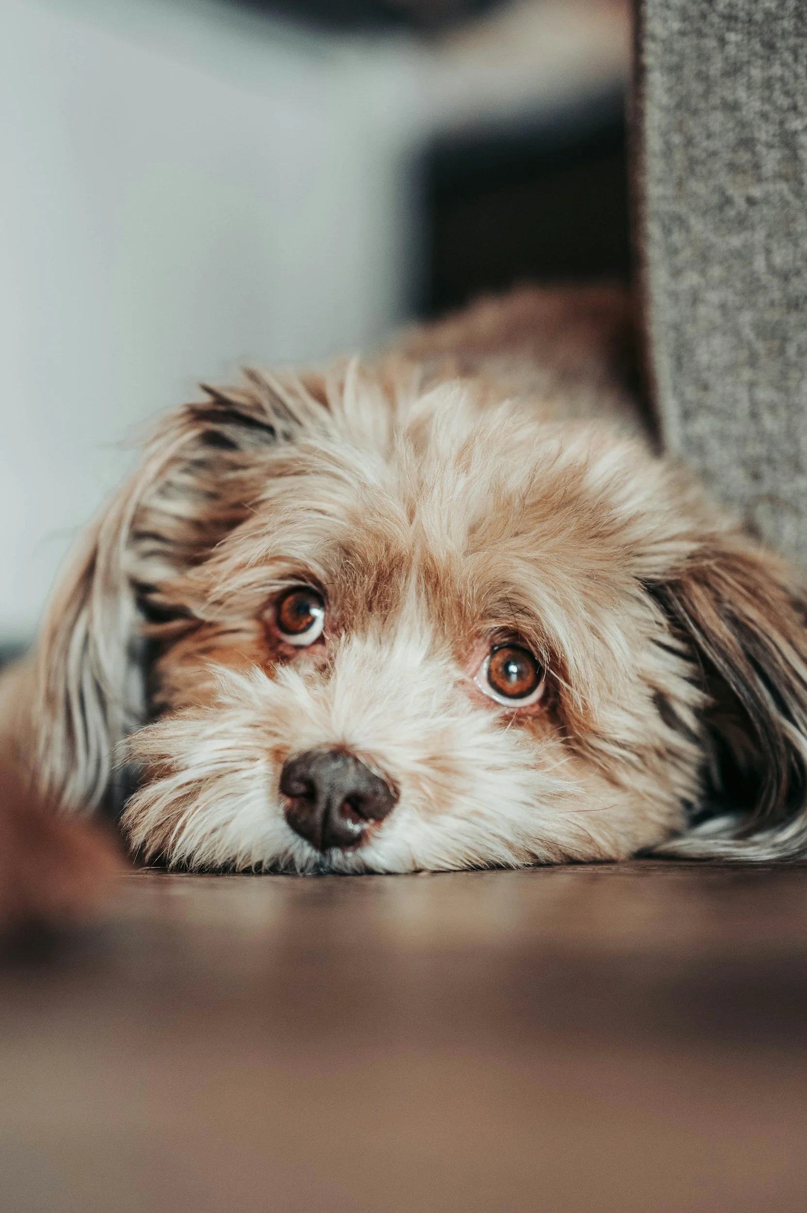 unsplash-image-Zs2bXkVcL7E.jpg