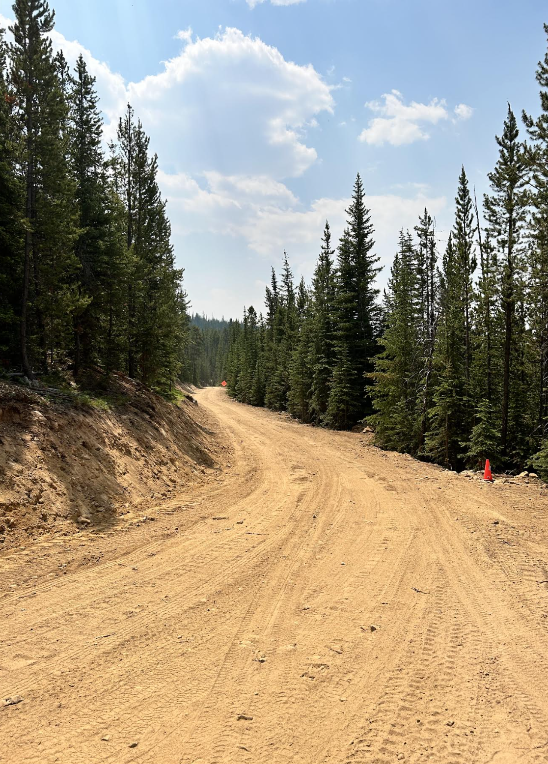 Dirt road winding through a forest of tall pine trees with a partly cloudy sky overhead.