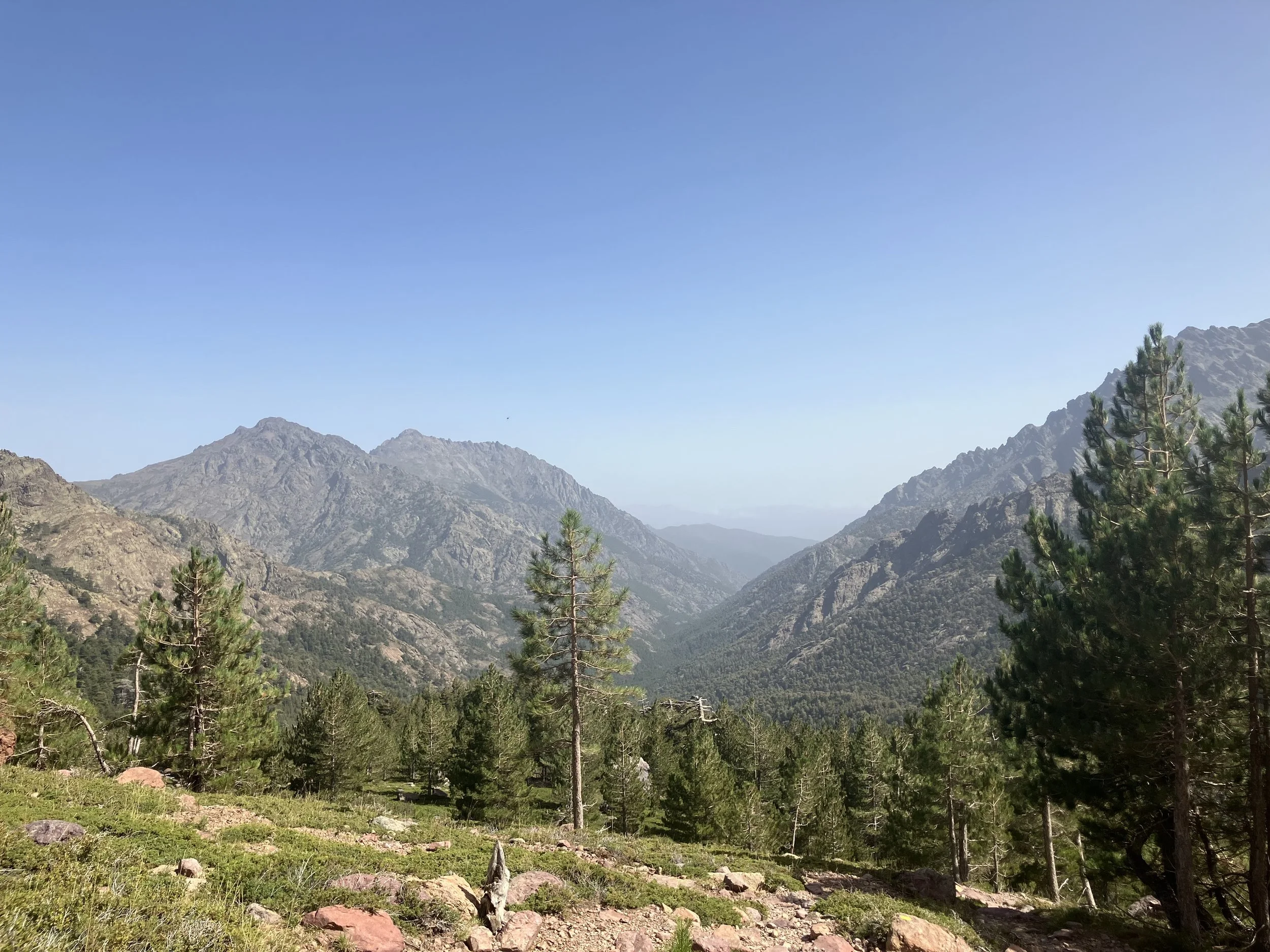 Single Yoga Class (May 27)