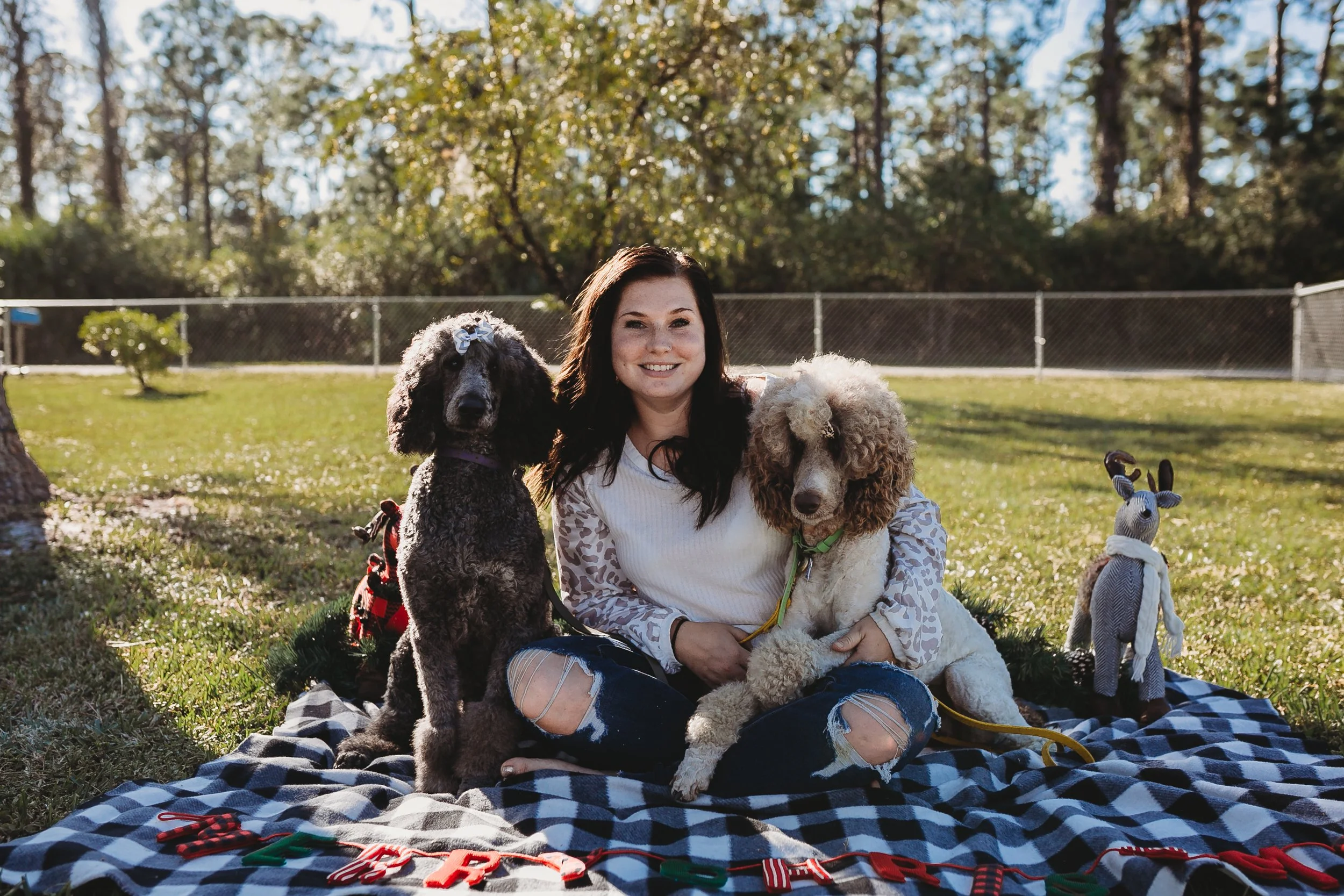 A woman sitting on a picnic blanket in a park, surrounded by two poodles and holiday decorations.