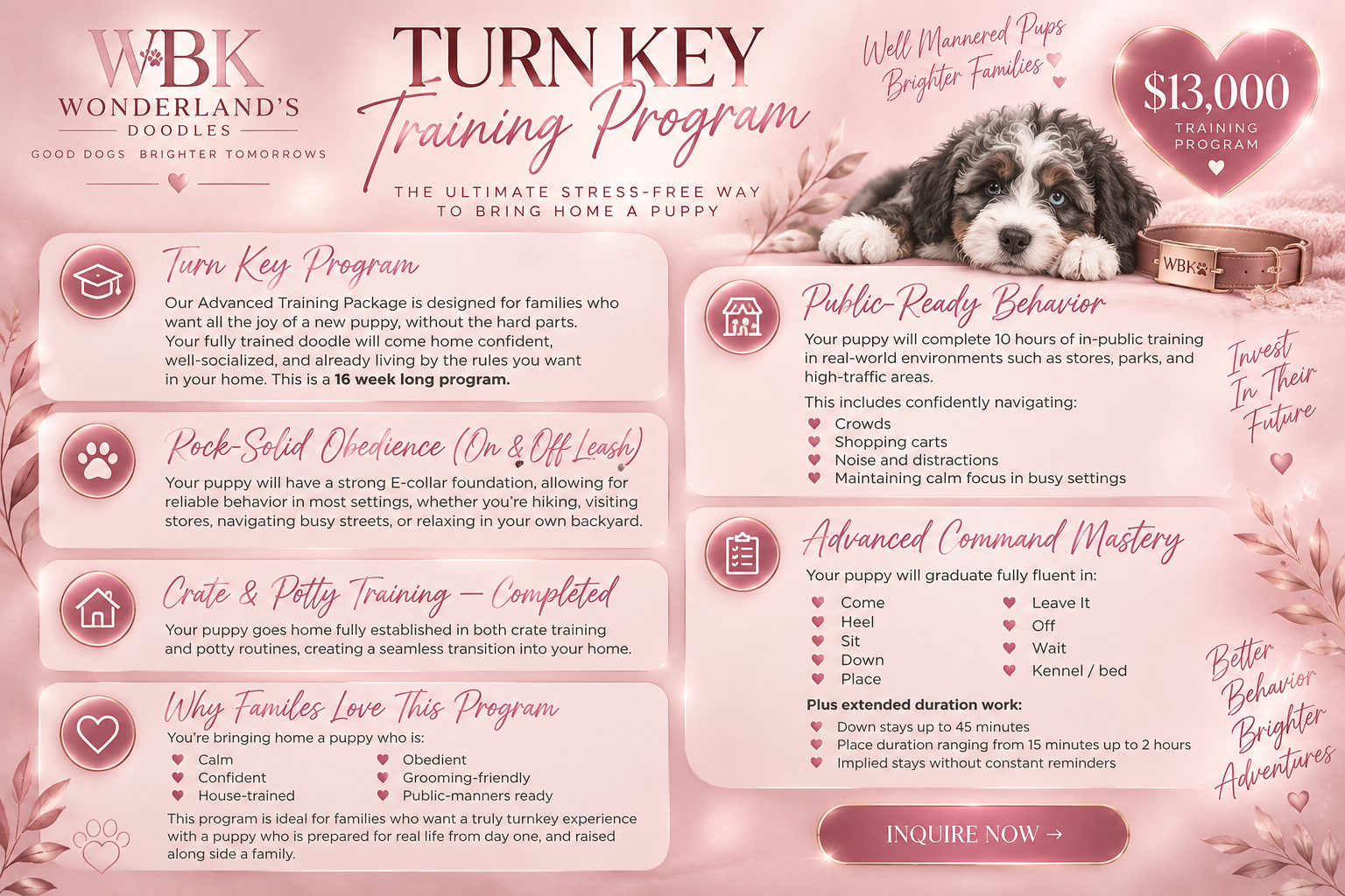 Pink promotional flyer for Wonderland's Doodles puppy training program, featuring a puppy lying down, a large pink heart with a $13,000 training program price, and sections describing various puppy training features and benefits with decorative elements.