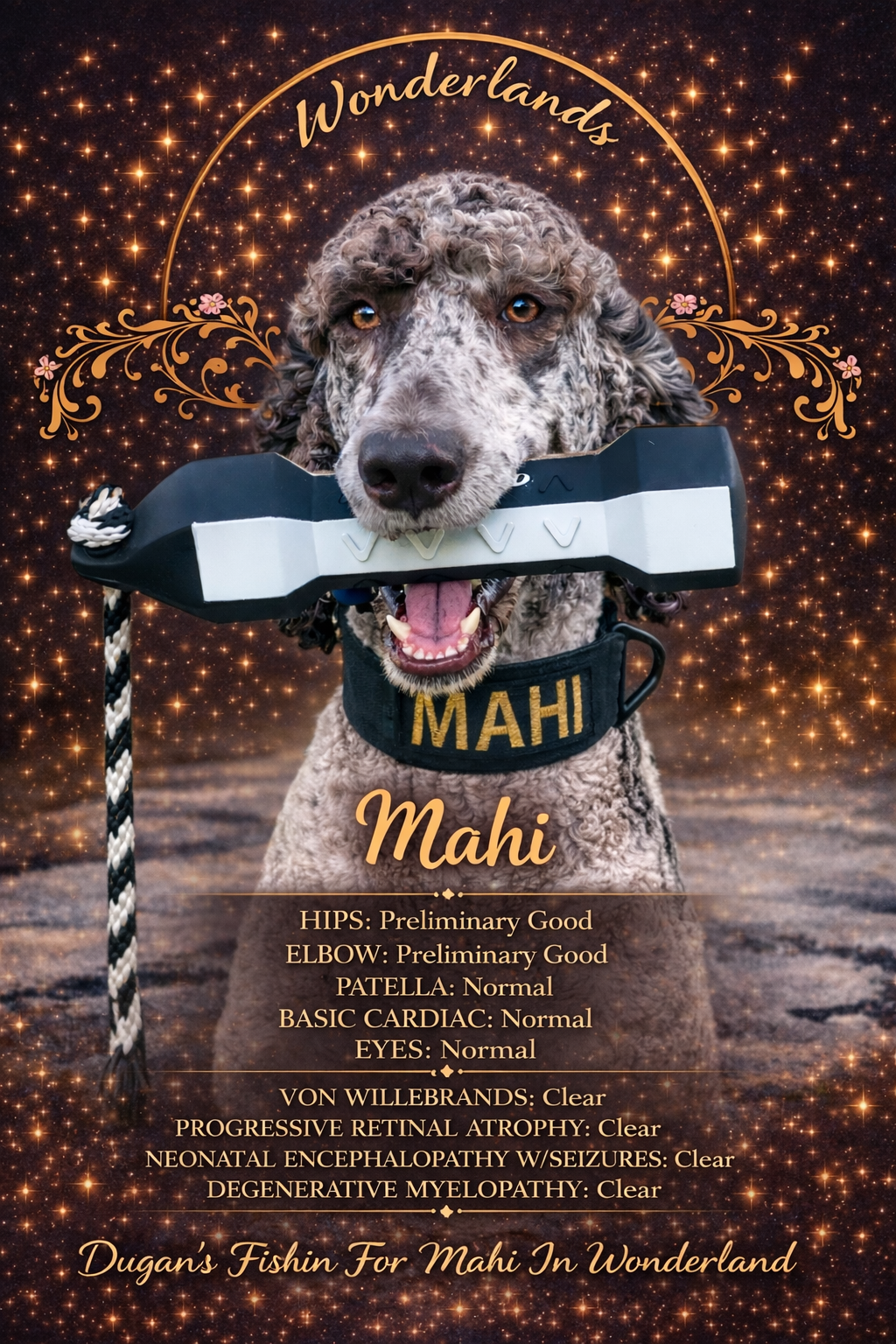 A dog named Mahi wearing a collar with the name embroidered on it, holding a toy bone in its mouth, against a sparkling, starry background with decorative elements and the text 'Wonderlands' and 'Dugan's Fishin For Mahi In Wonderland'.
