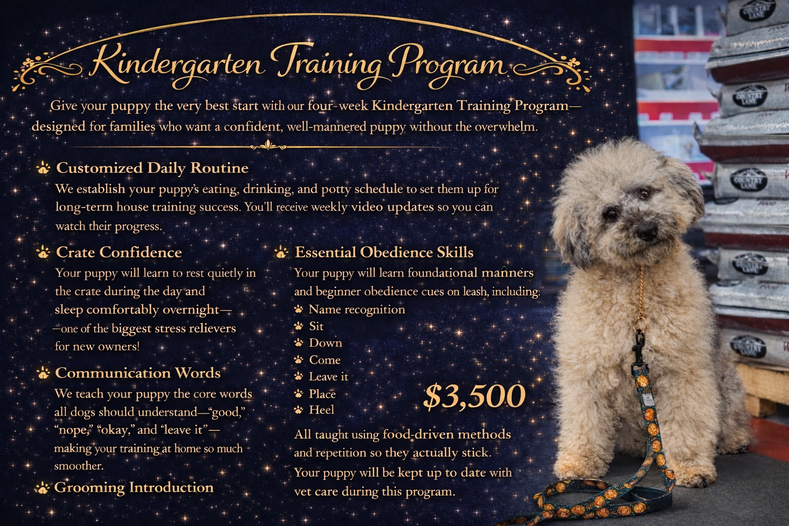 Poster advertising a kindergarten training program for puppies, featuring a small fluffy puppy sitting next to the poster on the right side, with a leash hanging from its collar, set against a background of stacked bags of pet supplies.